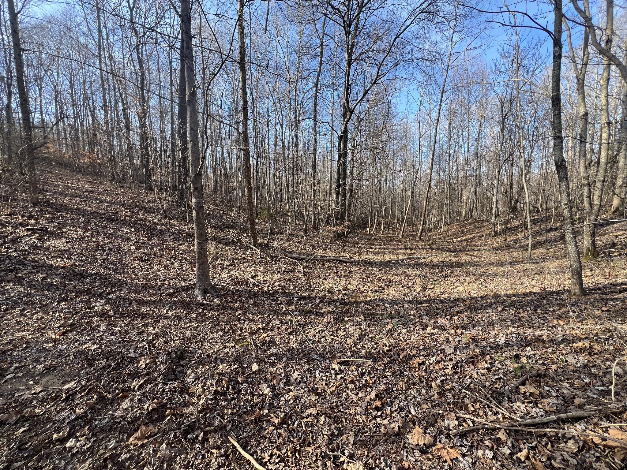 1716 Pleasant Ridge Road Goodspring, TN 38460 - Photo 26 of 26