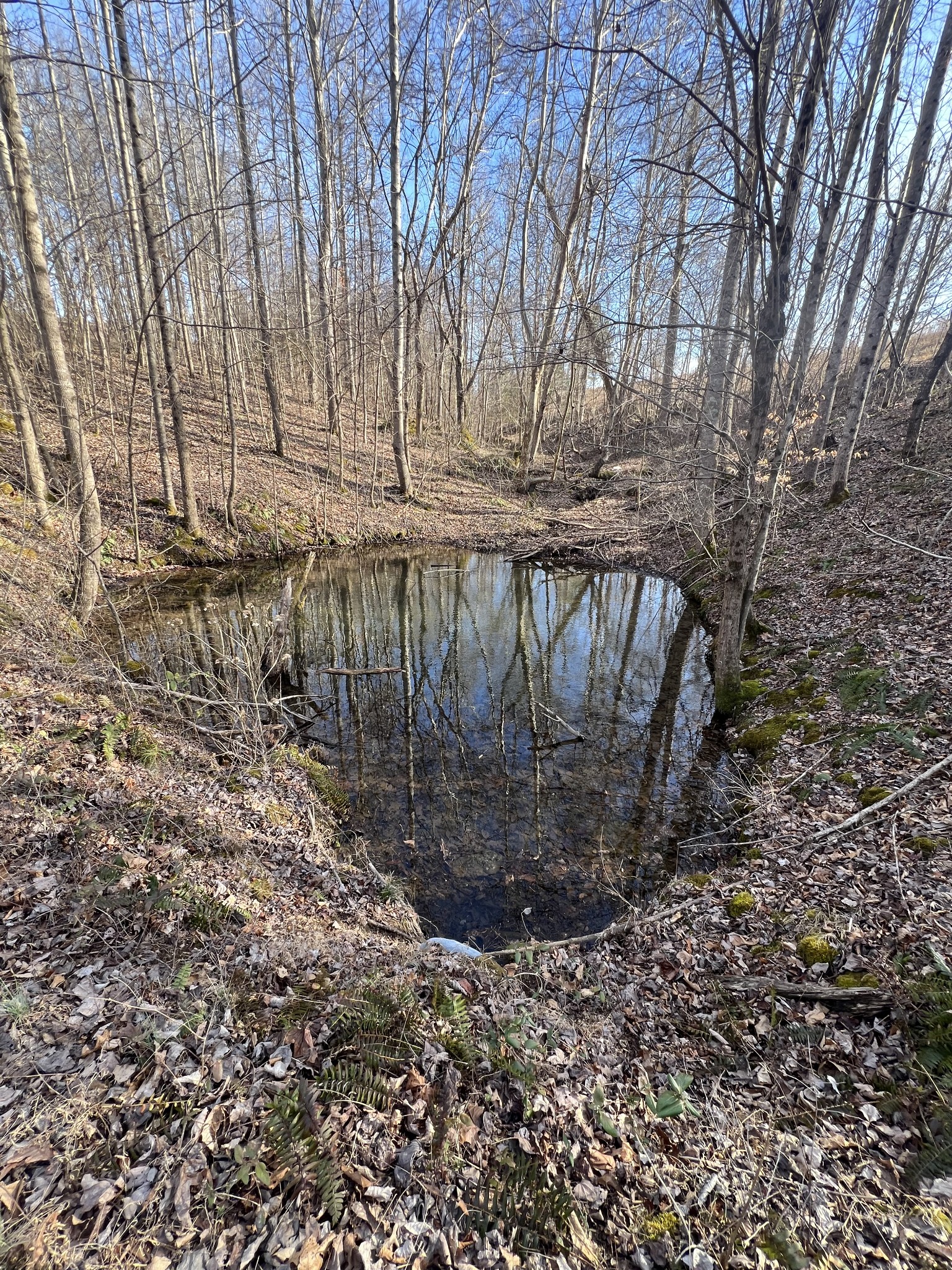 1716 Pleasant Ridge Road Goodspring, TN 38460 - Photo 3 of 26