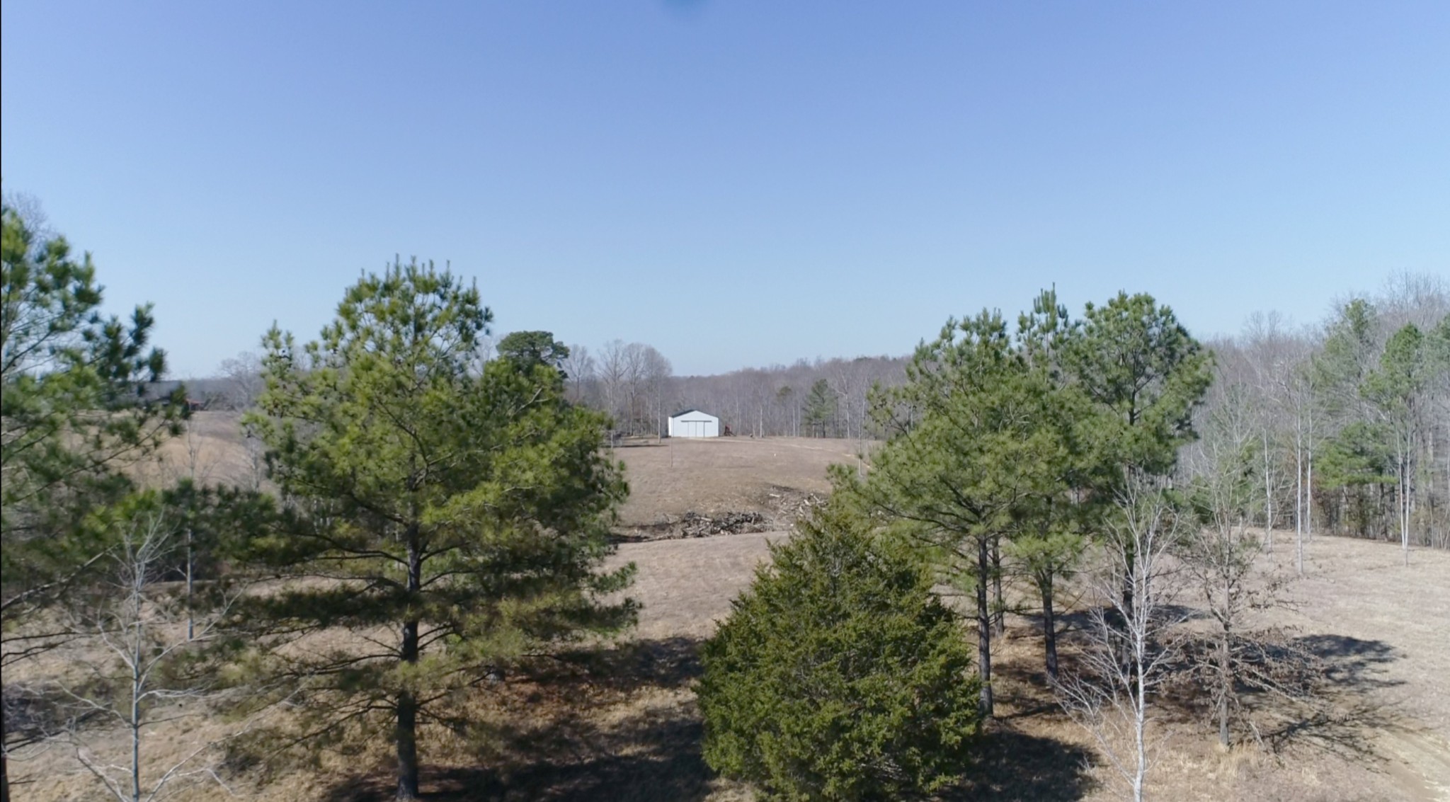 1716 Pleasant Ridge Road Goodspring, TN 38460 - Photo 7 of 26