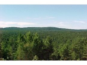 0 Colcord Hill Road Effingham, NH 03882 - Photo 4 of 5