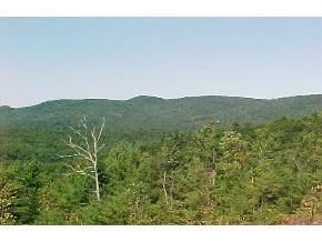 0 Colcord Hill Road Effingham, NH 03882 - Photo 5 of 5