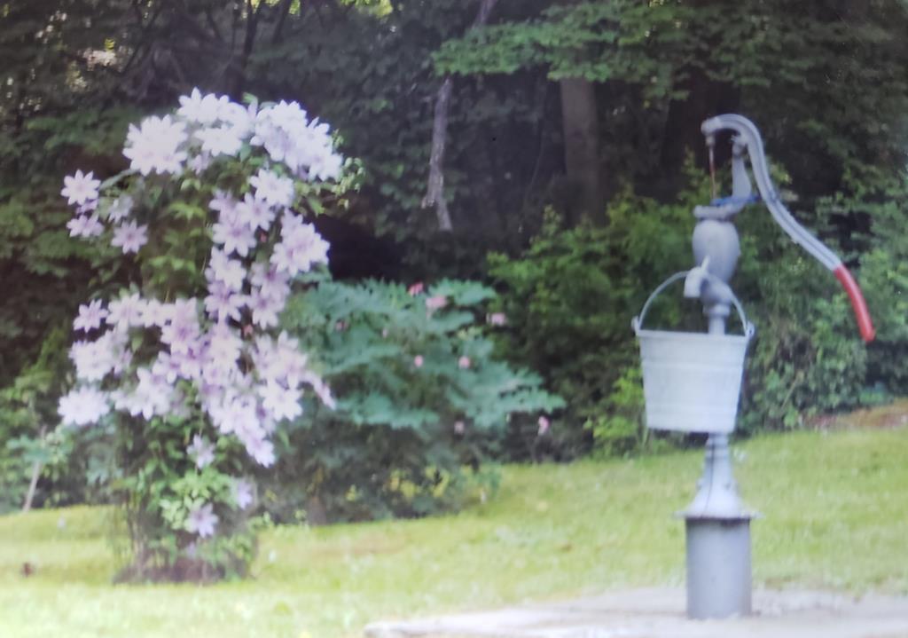 307 Frenchcreek Road Utica, PA 16362 - Photo 29 of 35 Gallery Image 29