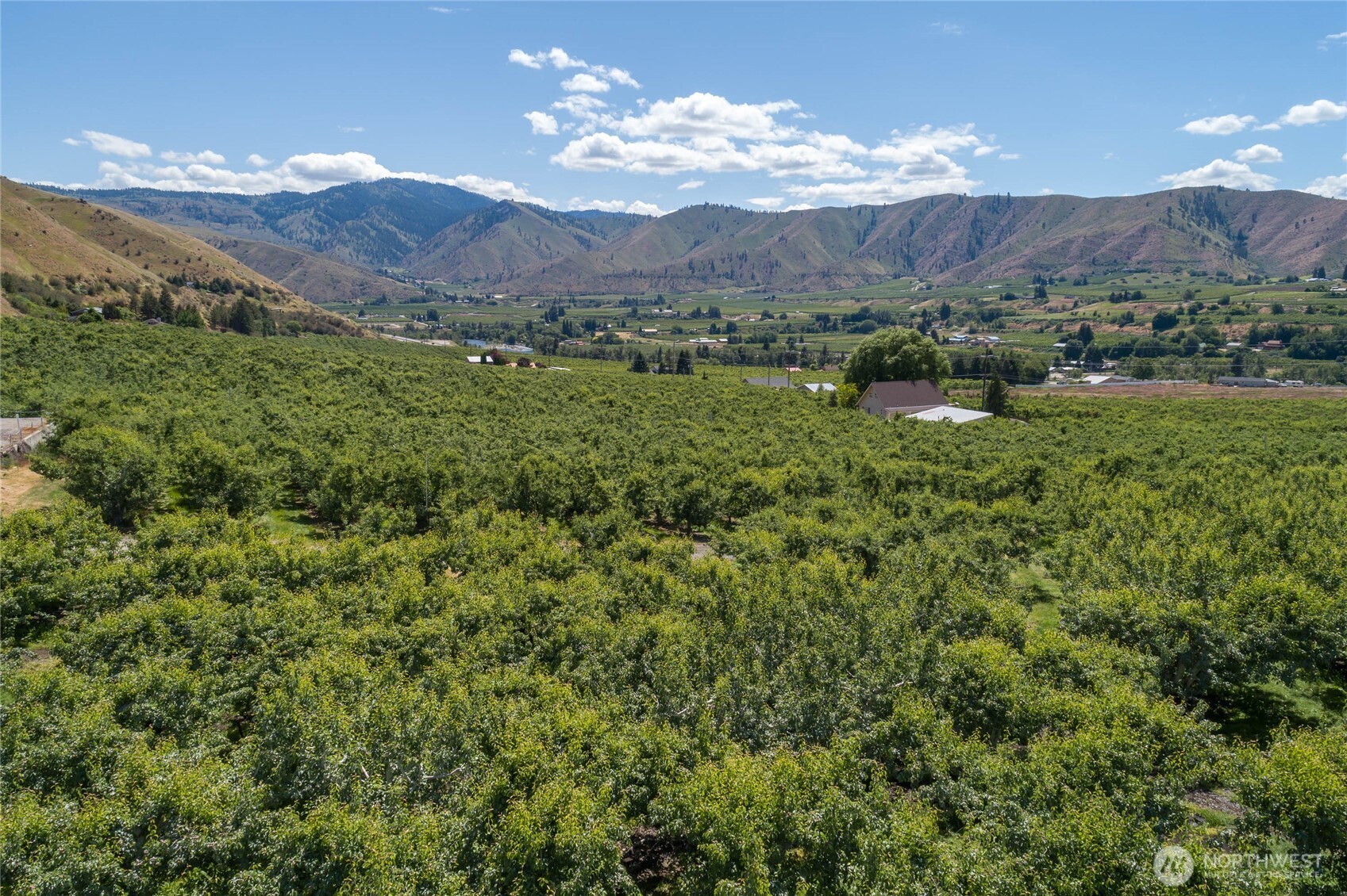 0 Red Apple Road Cashmere, WA 98815 - Photo 11 of 38 a view of a lush green hillside and a houses