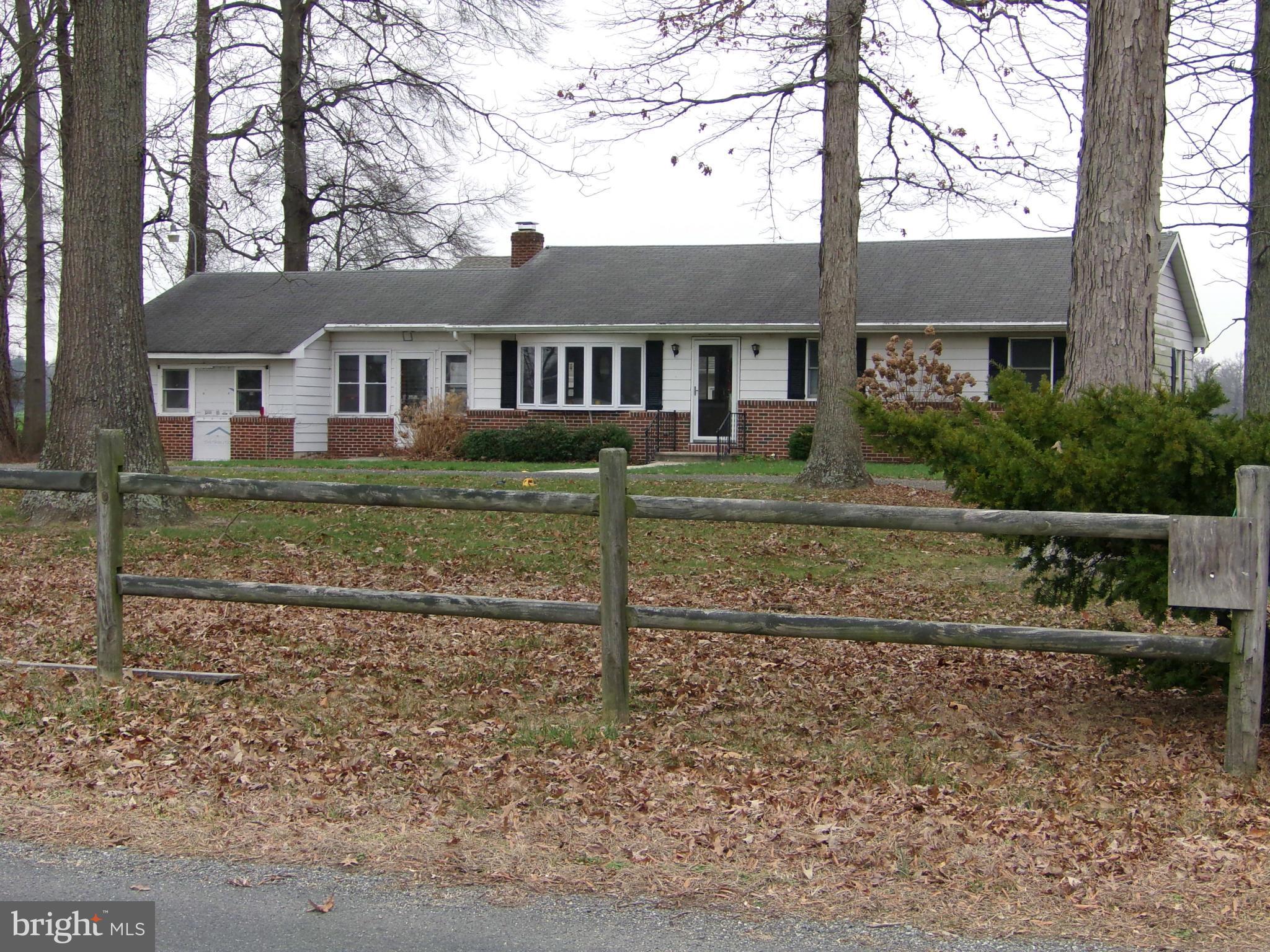 a view of a yard in front of a house with large trees