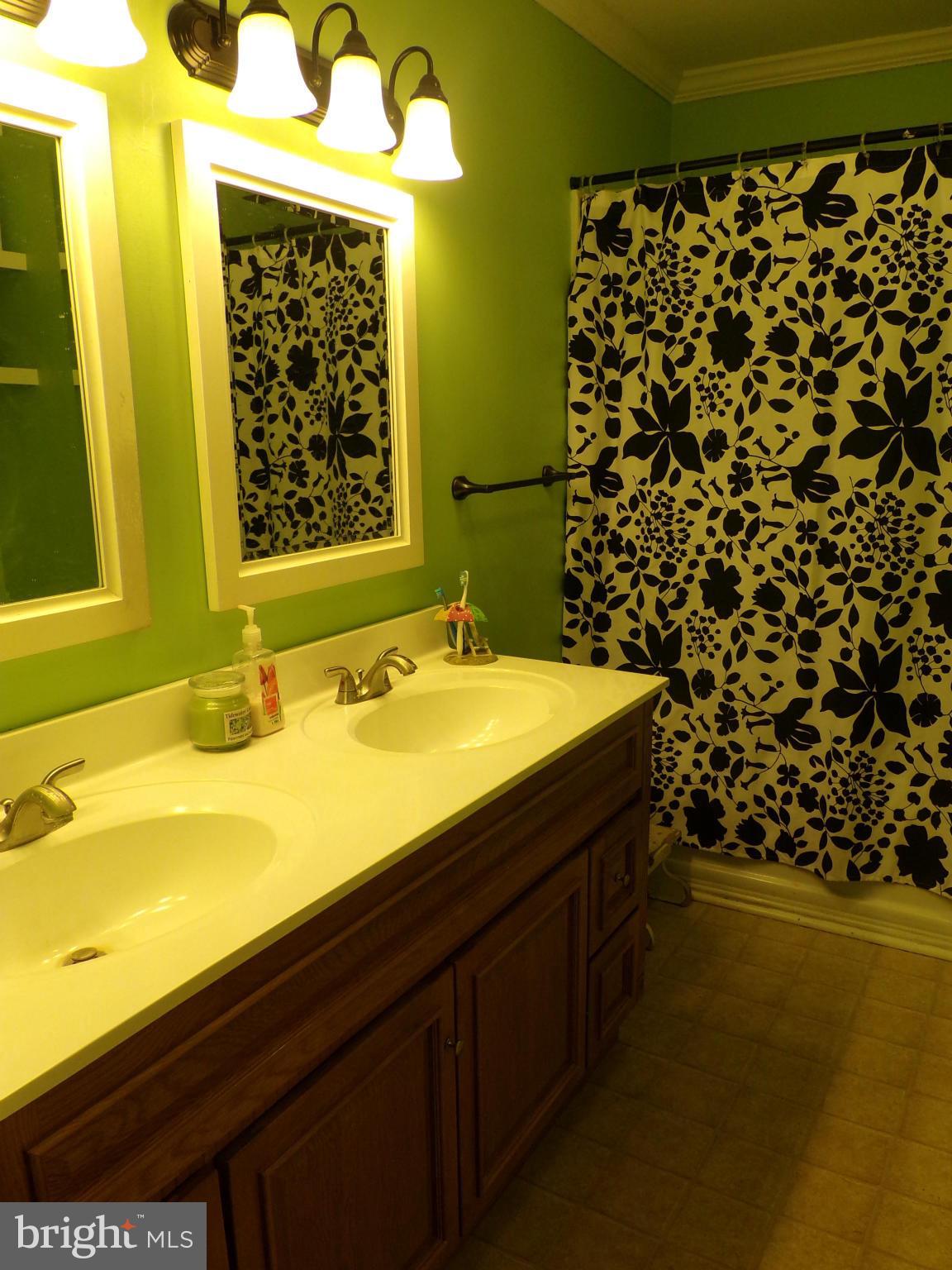 29012 Rabbit Hill Road Easton, MD 21601 - Photo 14 of 22 a bathroom with a sink and a mirror