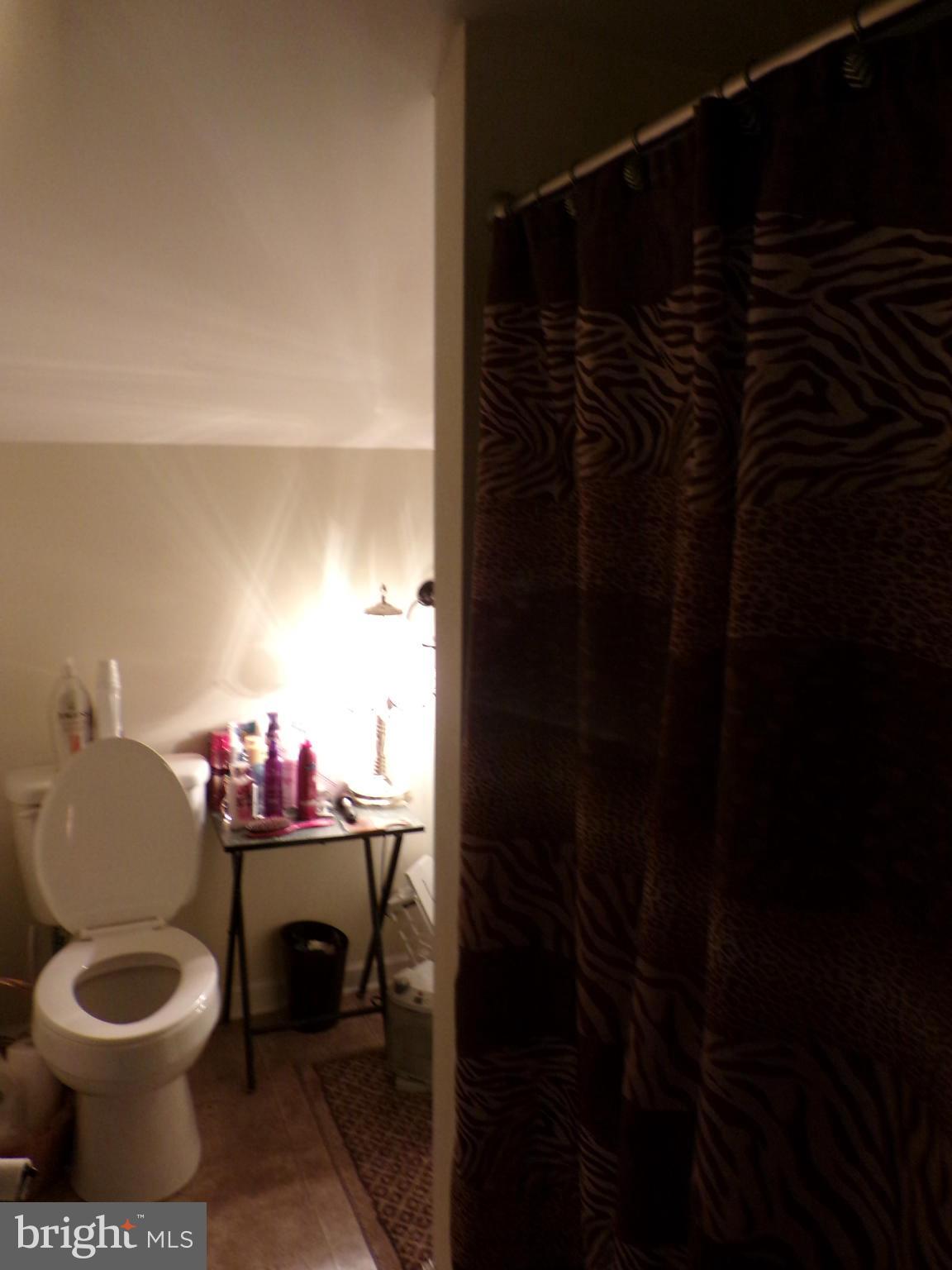 29012 Rabbit Hill Road Easton, MD 21601 - Photo 21 of 22 a bathroom with a toilet a sink and a mirror