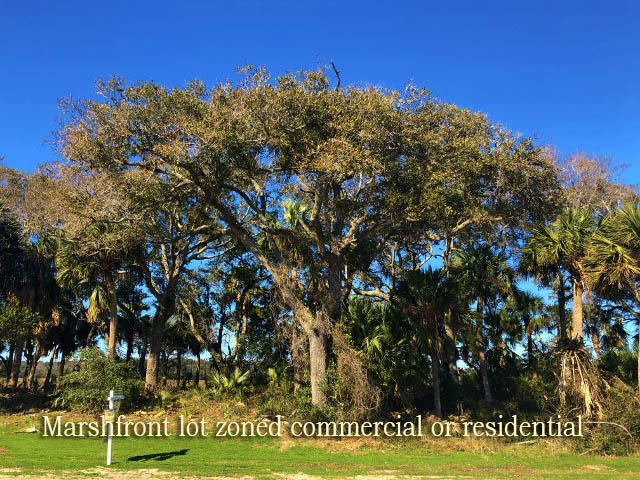 115 Jungle Road Edisto Island, SC 29438 - Photo 1 of 20 1