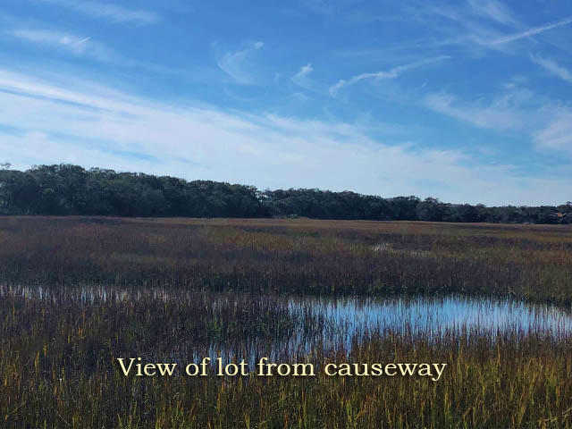 115 Jungle Road Edisto Island, SC 29438 - Photo 2 of 20 2
