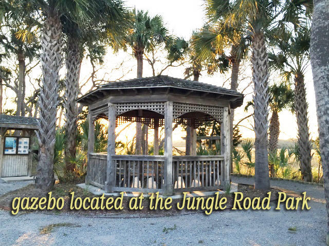 115 Jungle Road Edisto Island, SC 29438 - Photo 12 of 20 9