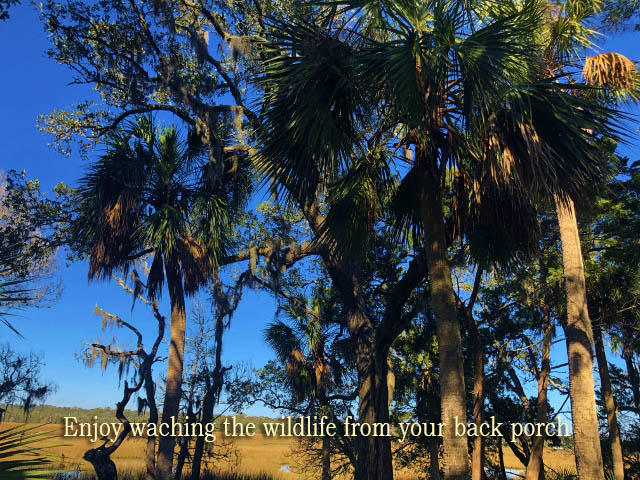 115 Jungle Road Edisto Island, SC 29438 - Photo 5 of 20 5