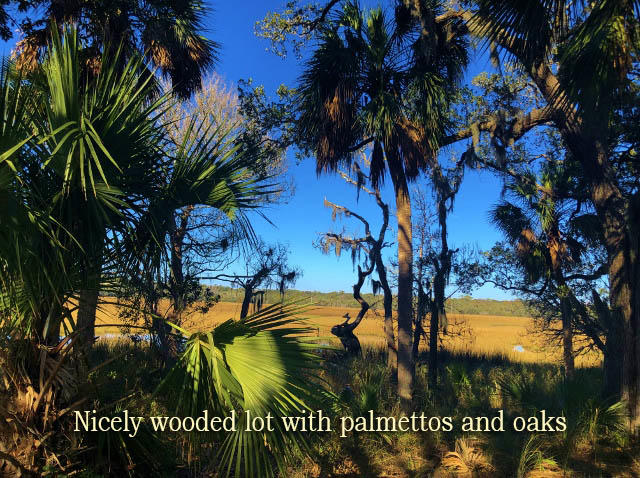 115 Jungle Road Edisto Island, SC 29438 - Photo 8 of 20 7