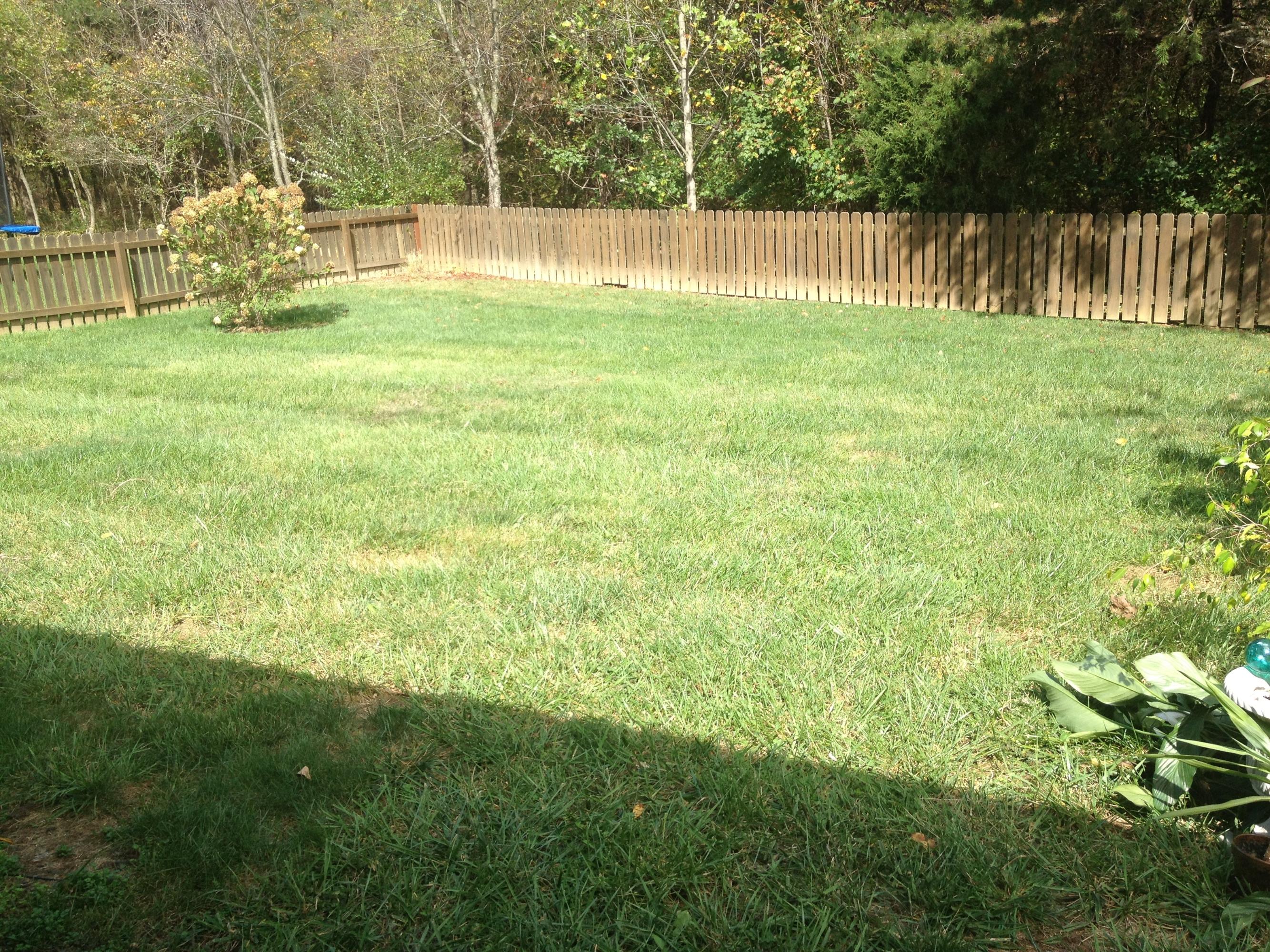 537 Castleridge Road Vinton, VA 24179 - Photo 15 of 16 Back