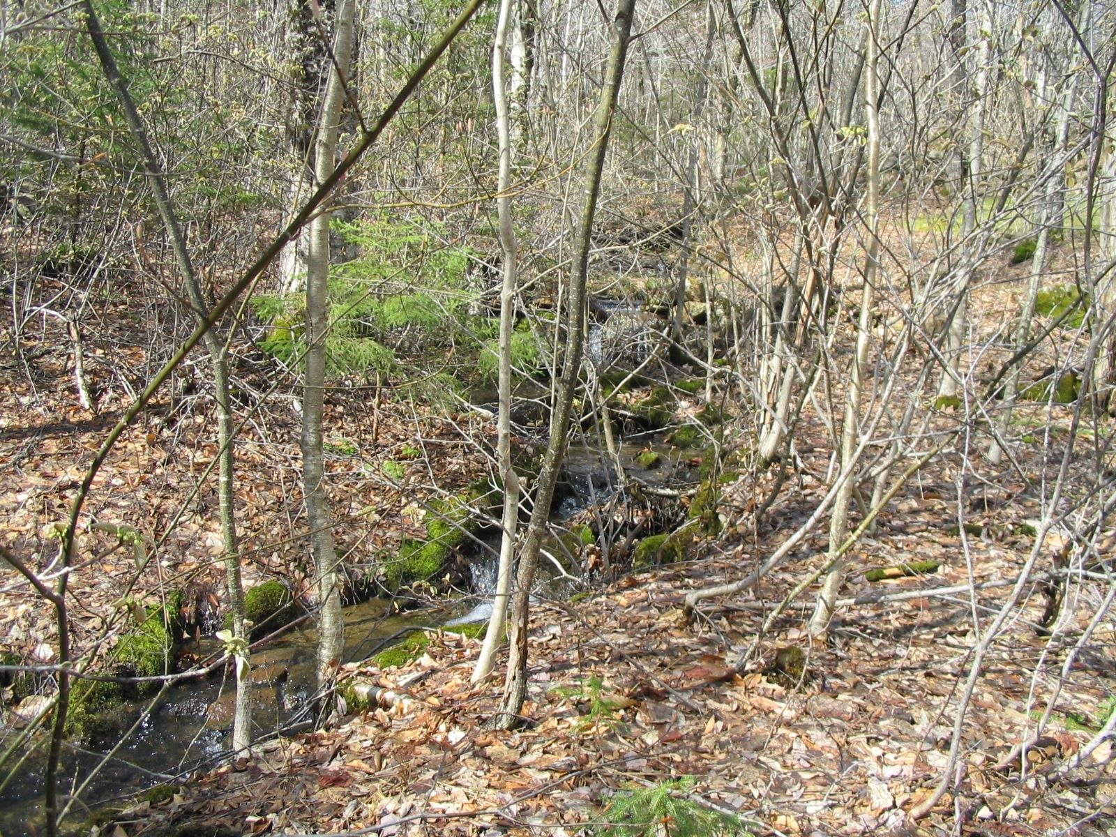 418 Old Stoddard Road Nelson, NH 03457 - Photo 6 of 21