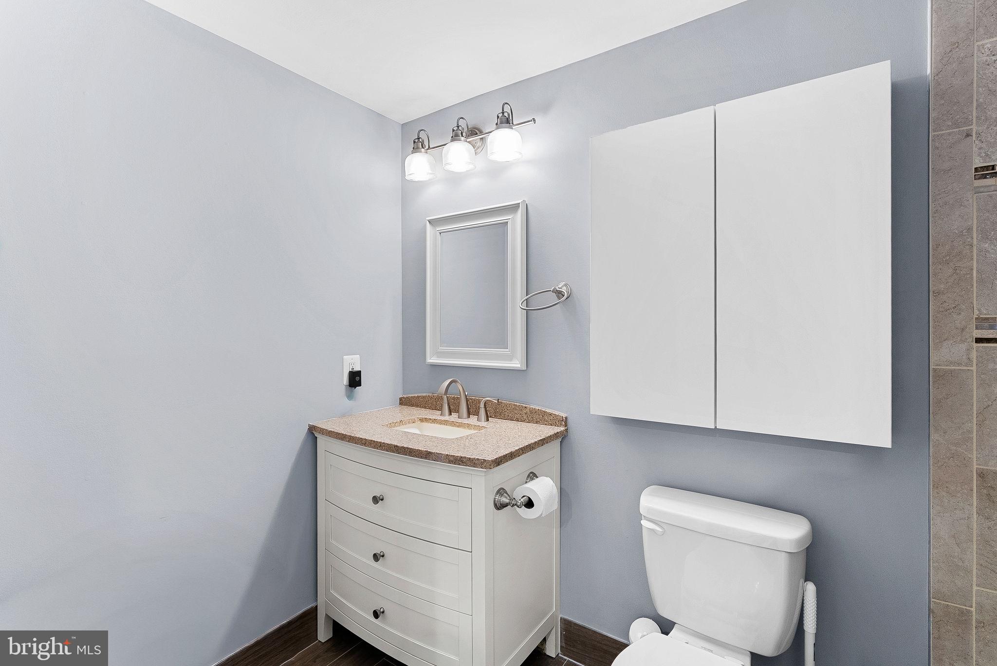 43983 Choptank Terrace Ashburn, VA 20147 - Photo 30 of 43 a bathroom with a toilet sink and mirror