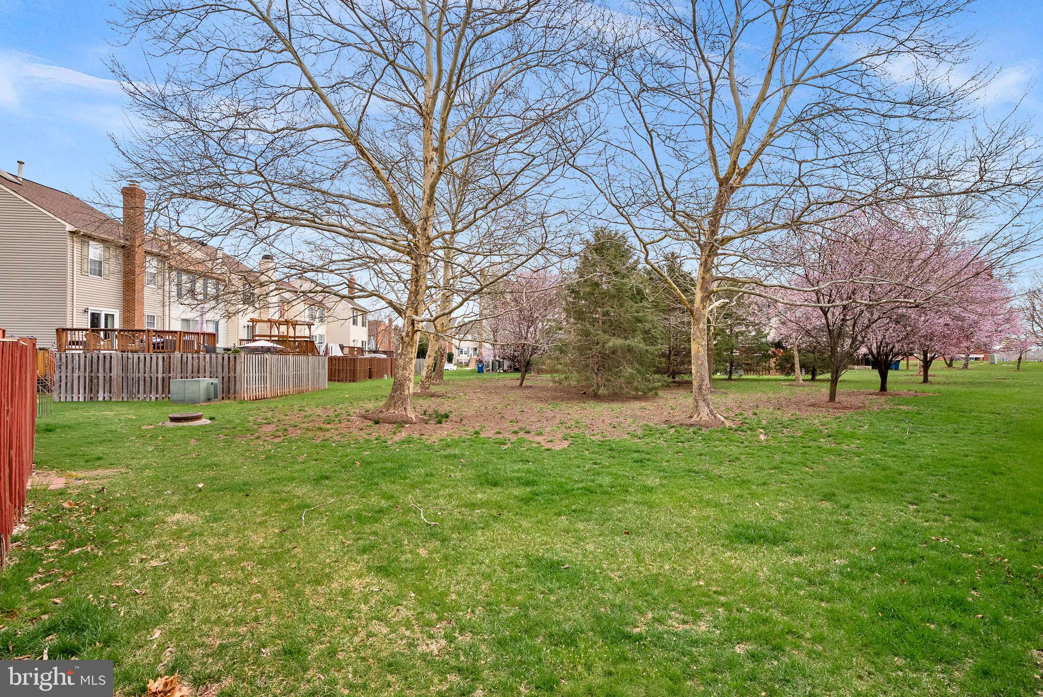 43983 Choptank Terrace Ashburn, VA 20147 - Photo 40 of 43 a view of yard with tree s