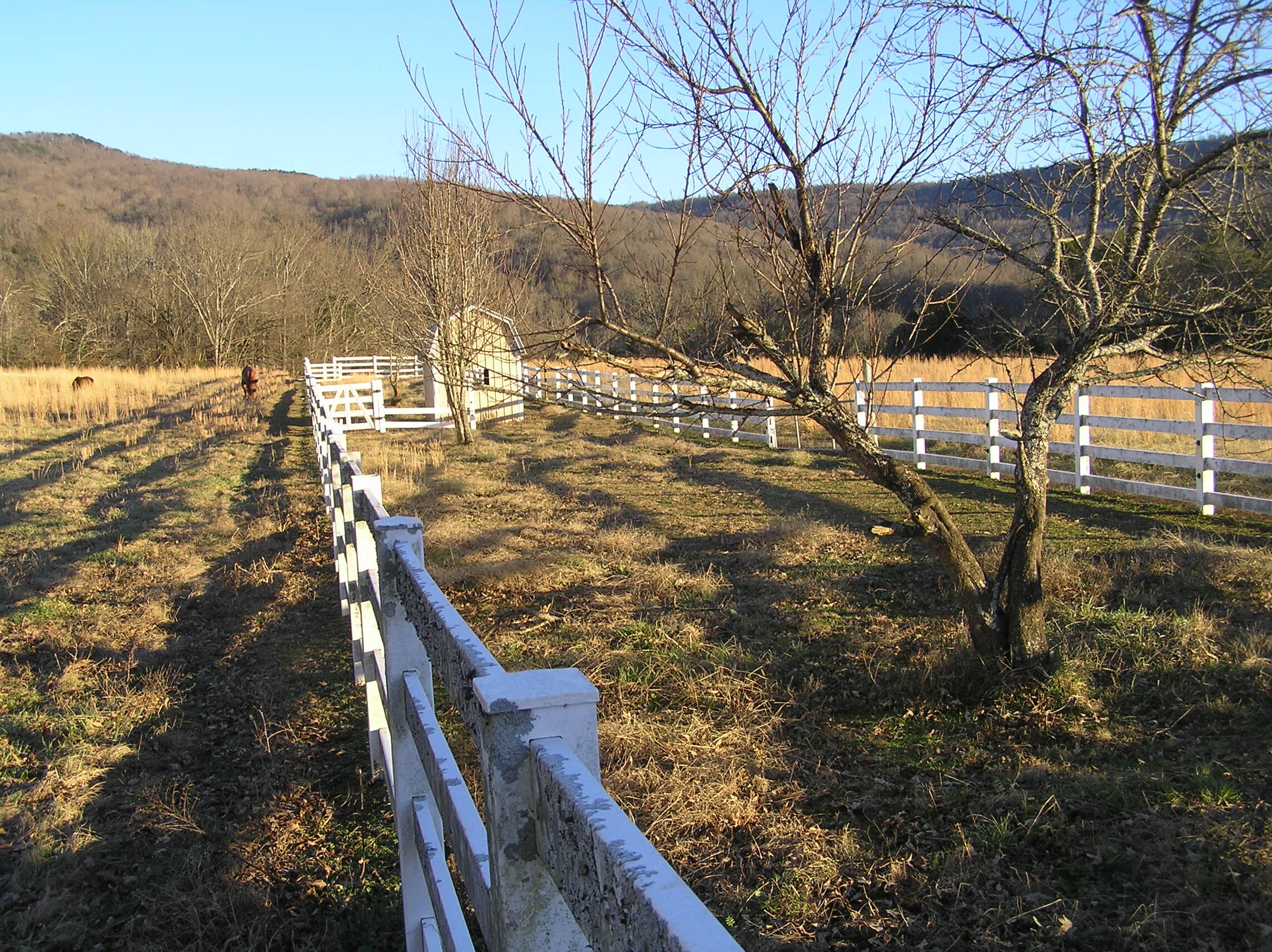 4114 Lower East Valley Road Dunlap, TN 37327 - Photo 104 of 122 miller 073
