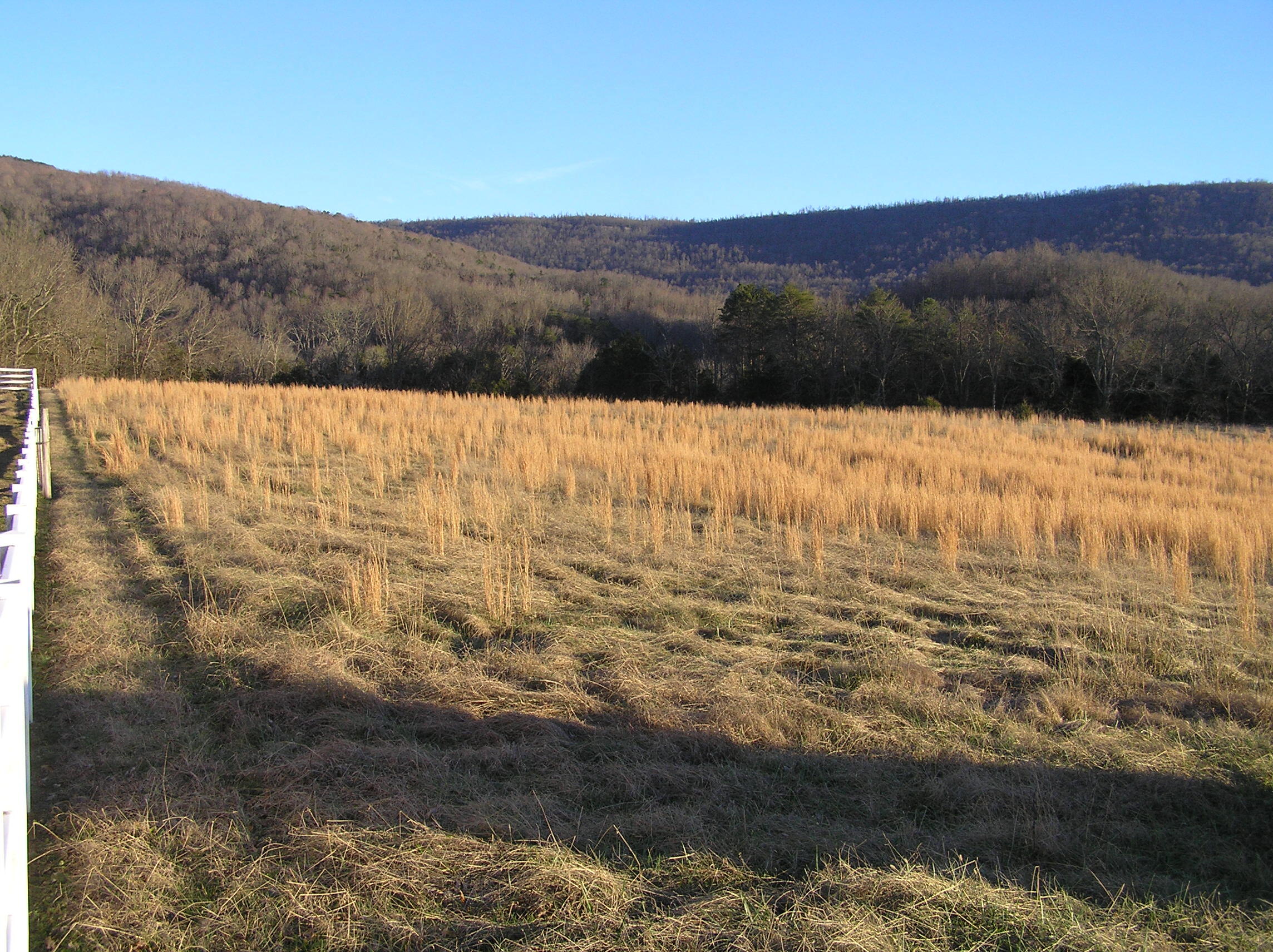 4114 Lower East Valley Road Dunlap, TN 37327 - Photo 106 of 122 miller 076
