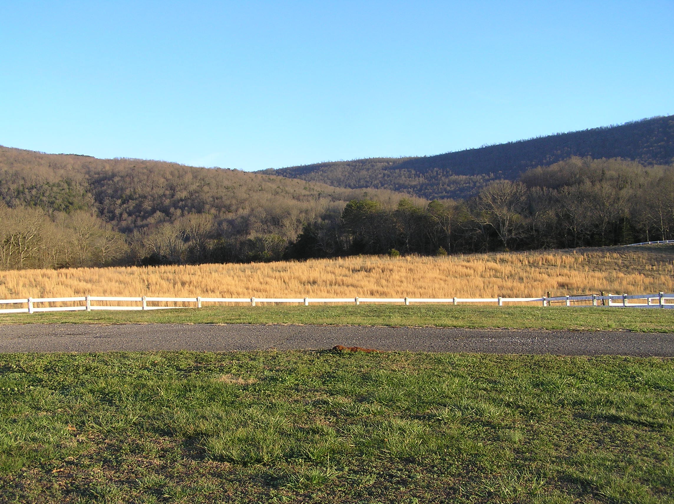 4114 Lower East Valley Road Dunlap, TN 37327 - Photo 109 of 122 miller 081