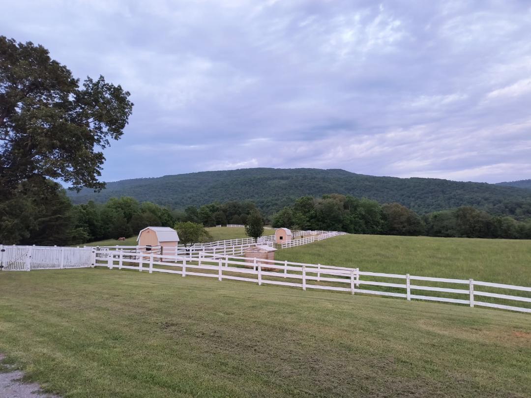 4114 Lower East Valley Road Dunlap, TN 37327 - Photo 112 of 122 thumbnail (7)