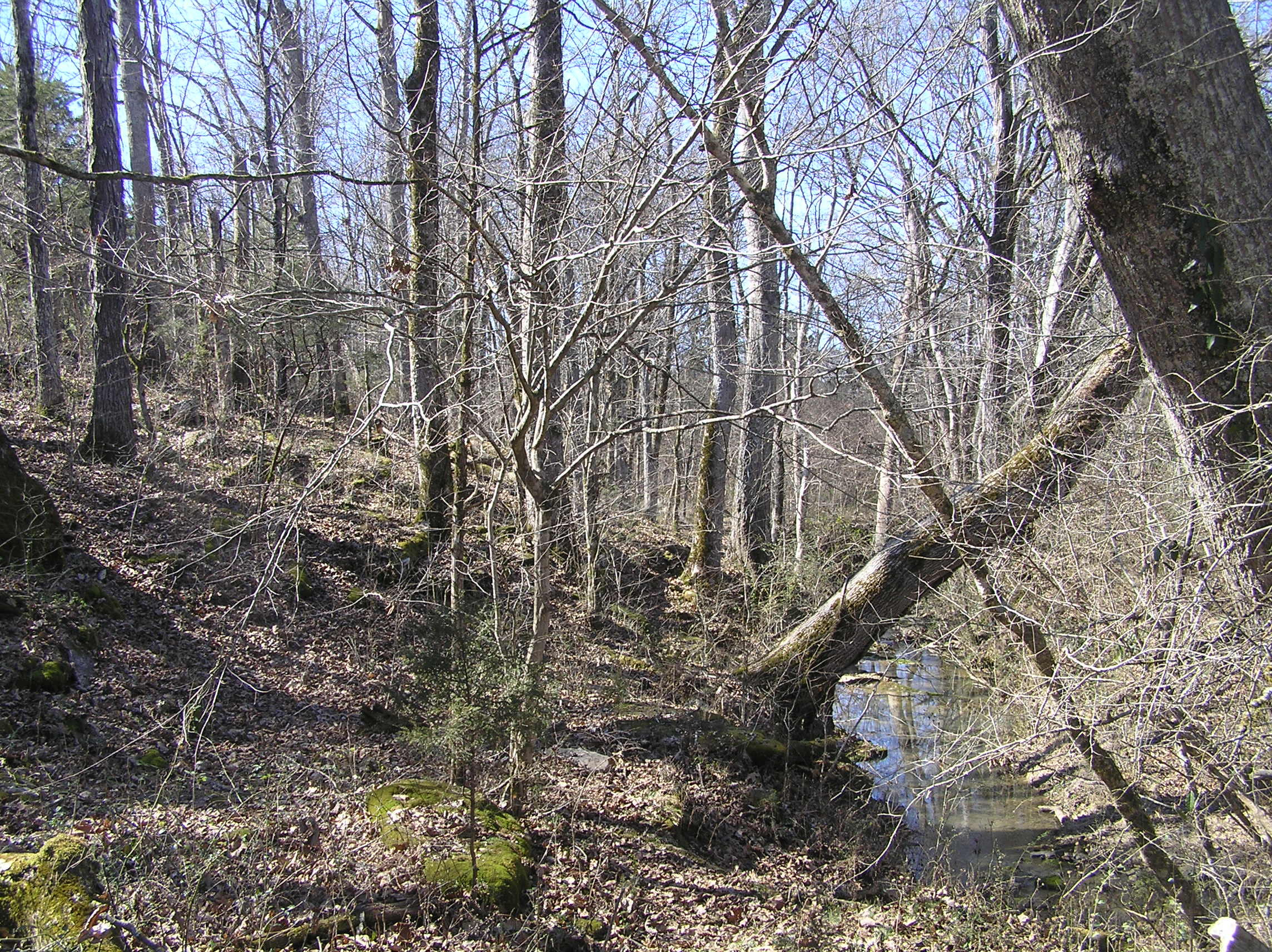 4114 Lower East Valley Road Dunlap, TN 37327 - Photo 116 of 122 P1010008