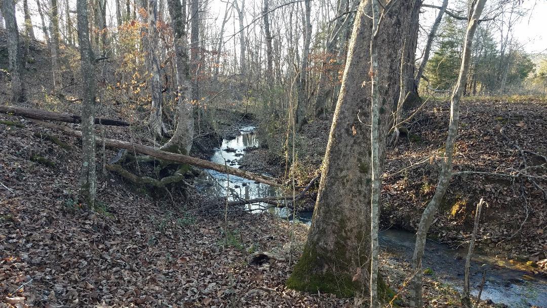 4114 Lower East Valley Road Dunlap, TN 37327 - Photo 15 of 98 thumbnail (15)