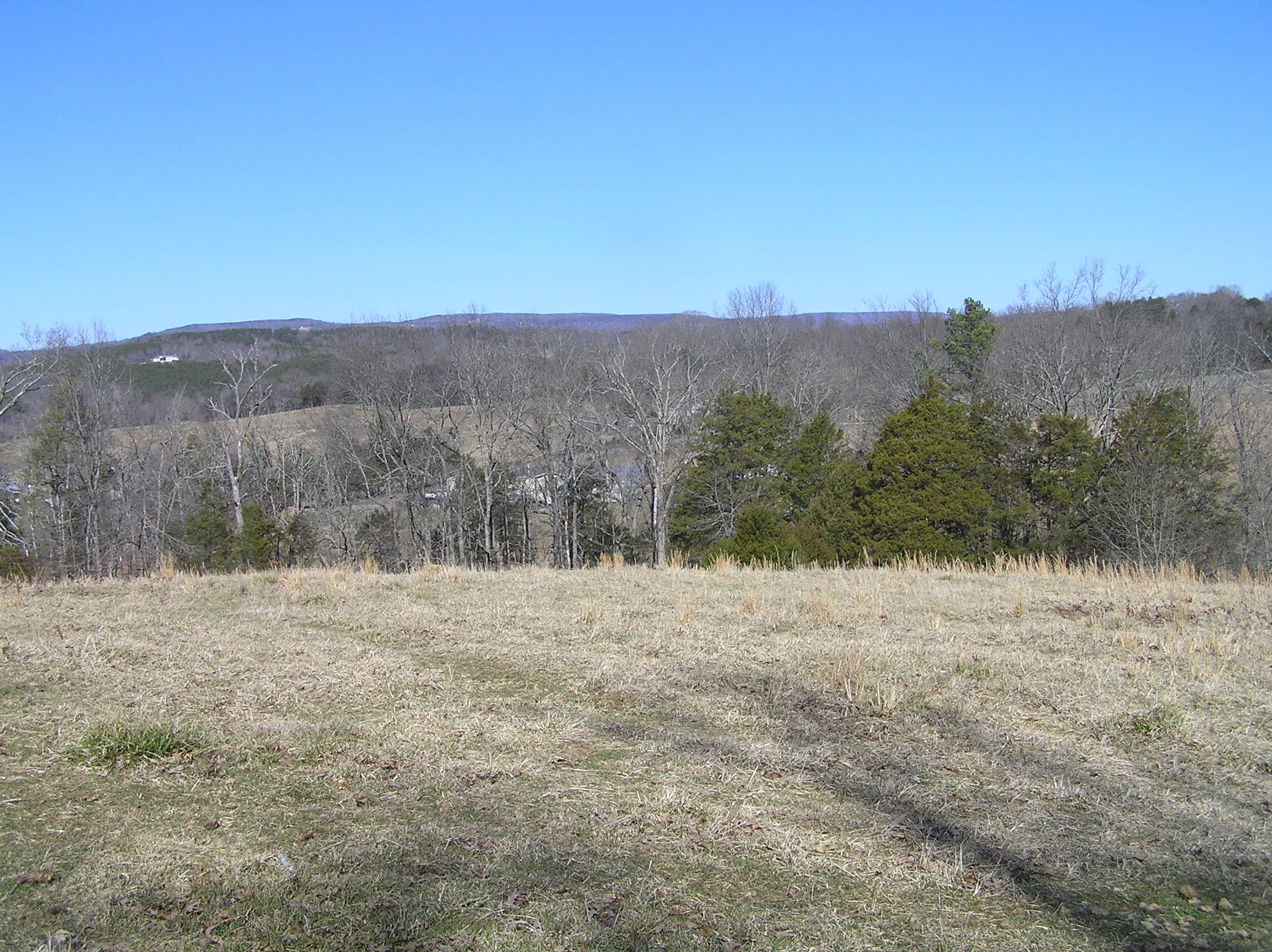 4114 Lower East Valley Road Dunlap, TN 37327 - Photo 25 of 122 P1010004