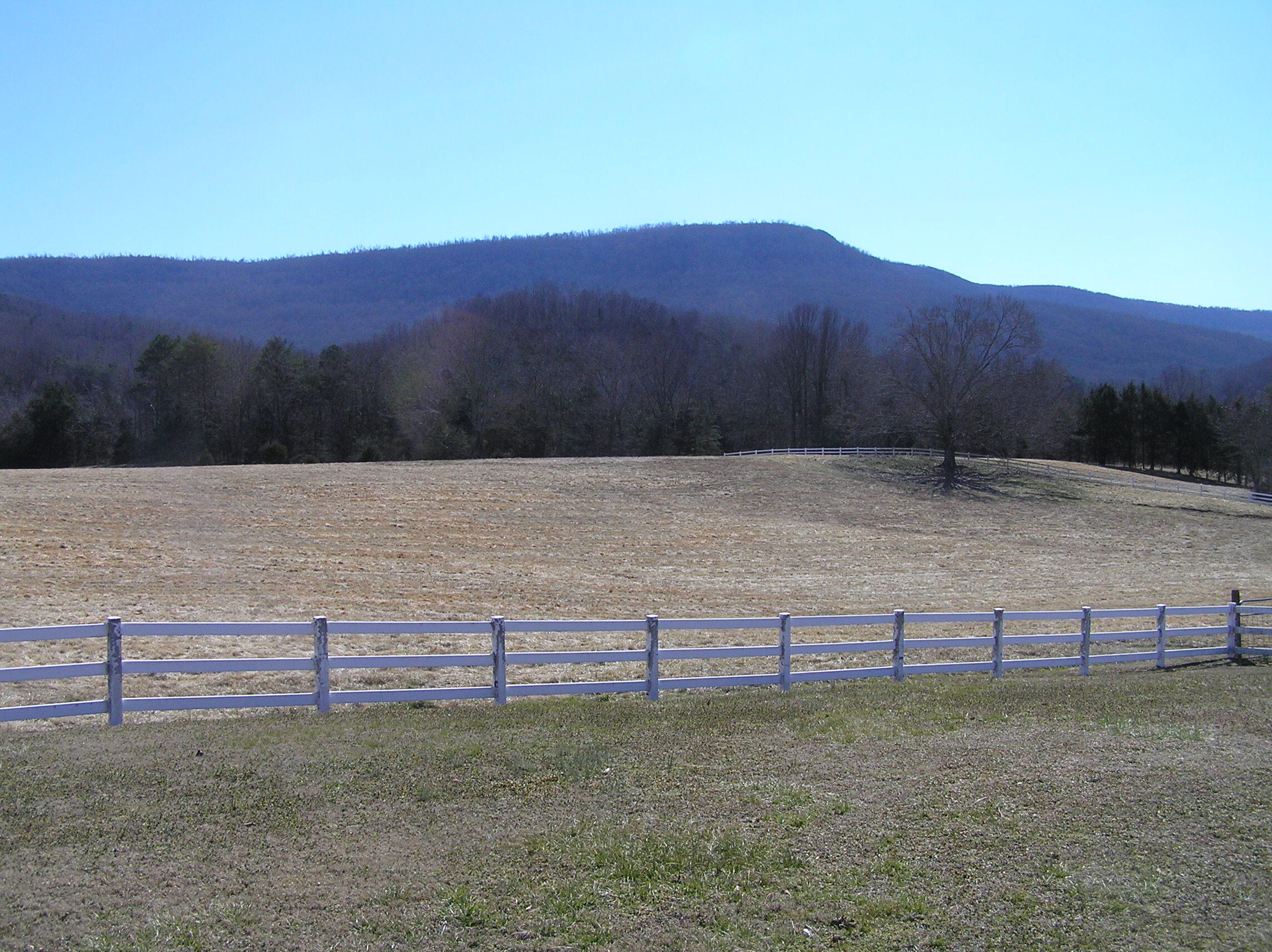 4114 Lower East Valley Road Dunlap, TN 37327 - Photo 27 of 122 P1010002