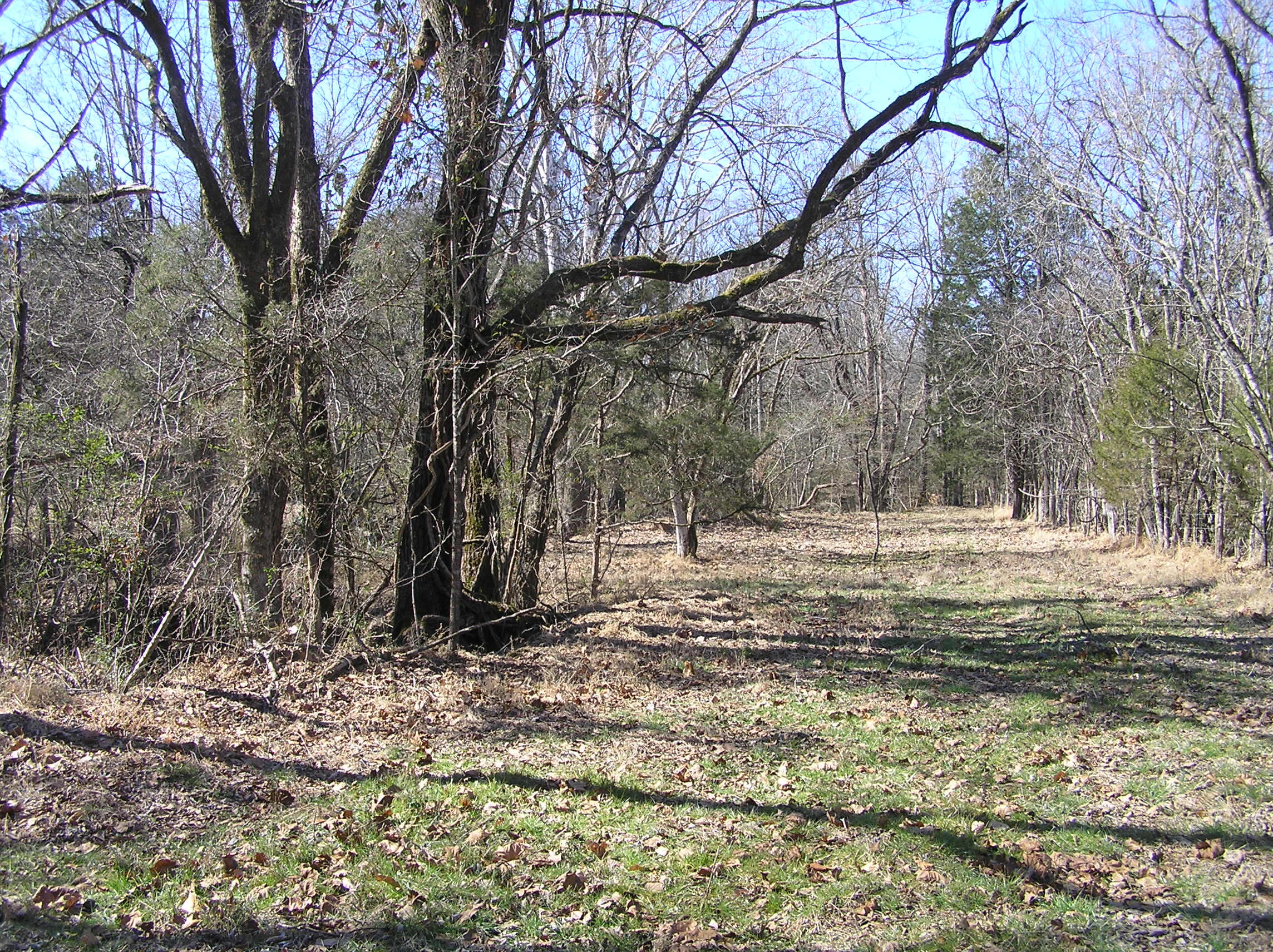 4114 Lower East Valley Road Dunlap, TN 37327 - Photo 28 of 122 P1010007