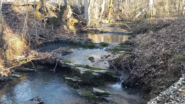 $1,200,000 | 4114 Lower East Valley Road, Dunlap, TN 37327