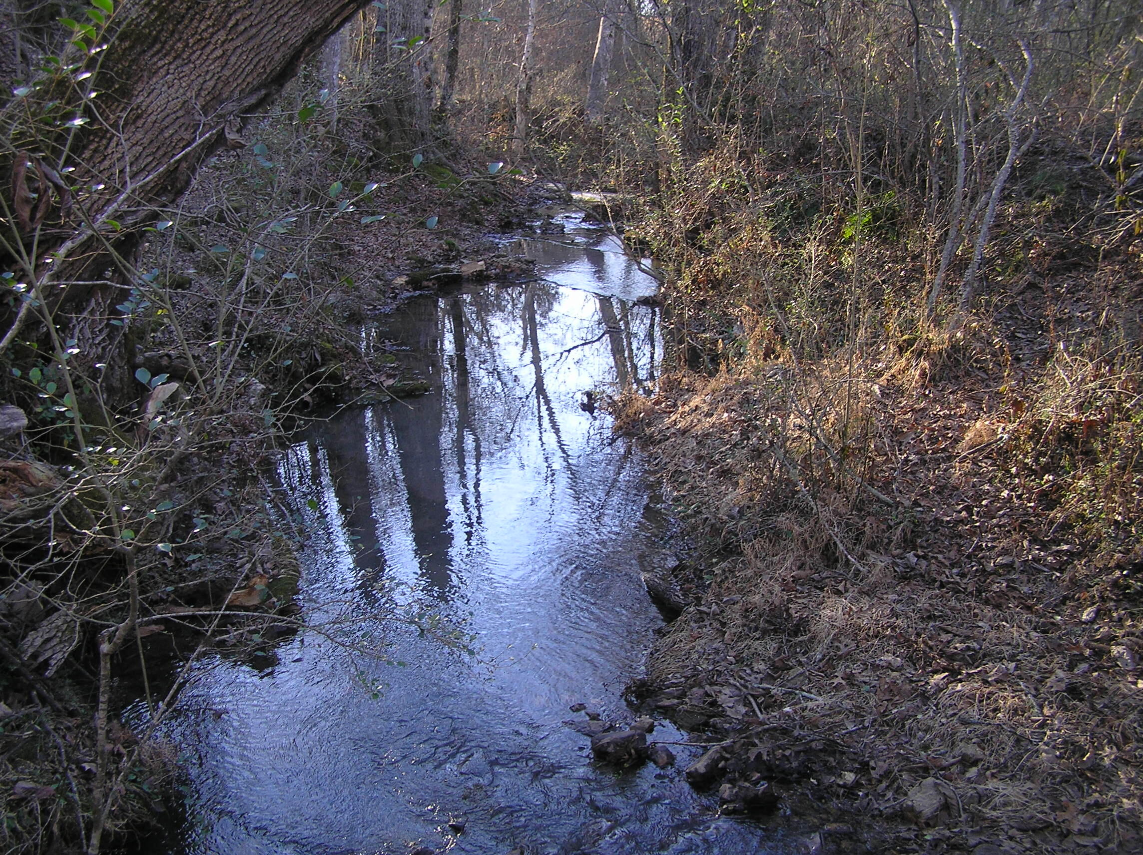 4114 Lower East Valley Road Dunlap, TN 37327 - Photo 56 of 98 miller 022