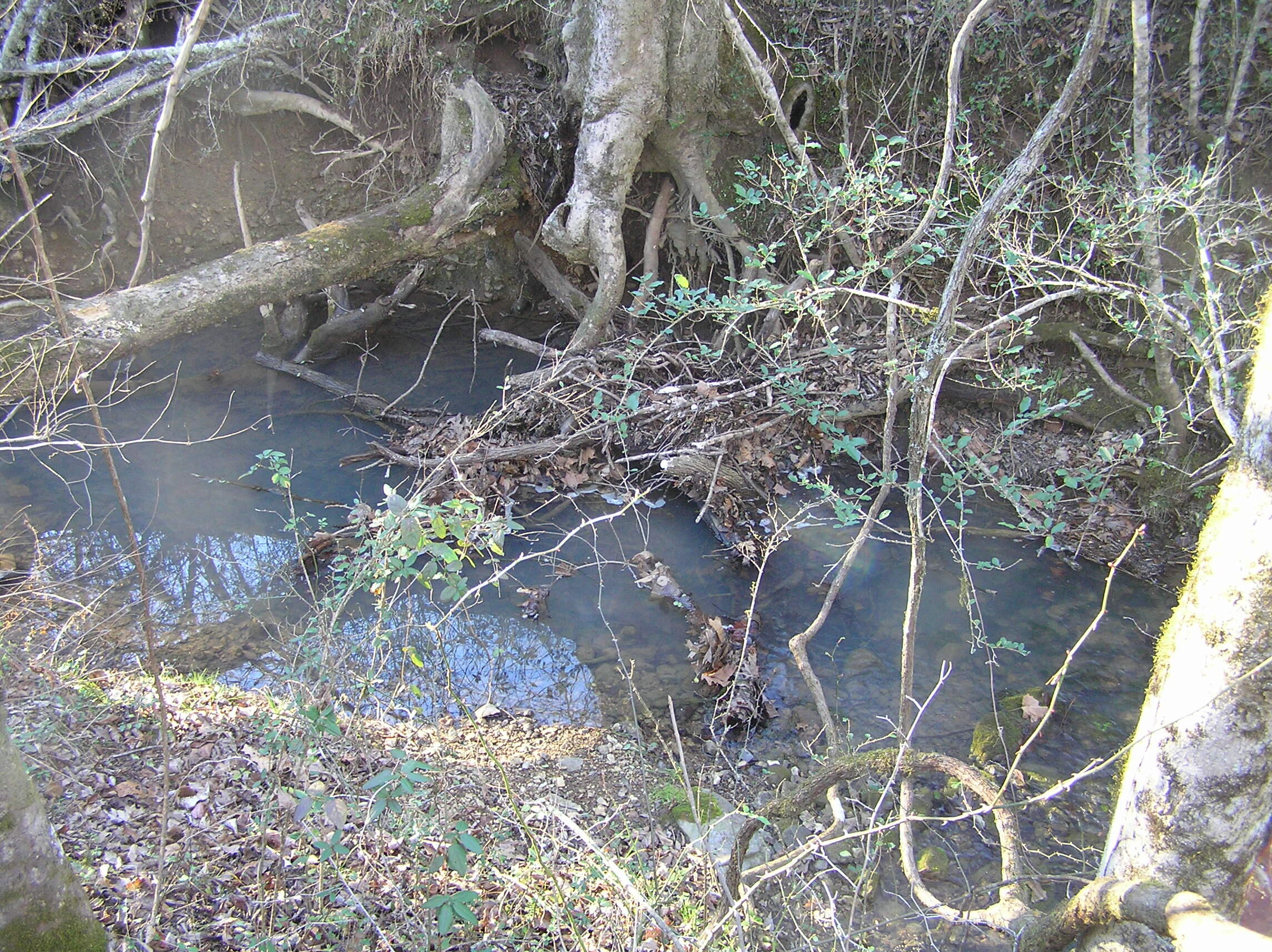 4114 Lower East Valley Road Dunlap, TN 37327 - Photo 57 of 98 miller 023