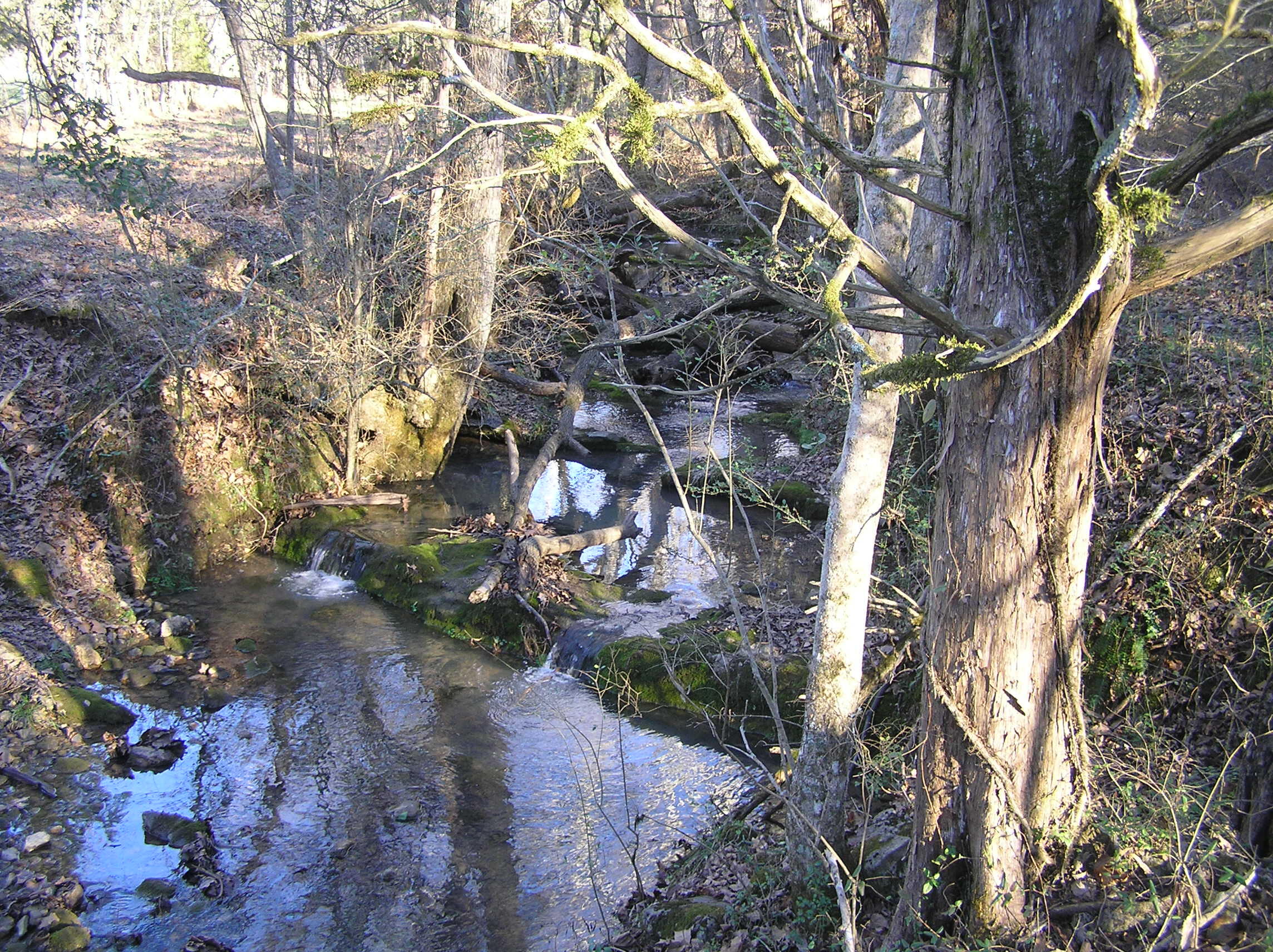 4114 Lower East Valley Road Dunlap, TN 37327 - Photo 58 of 98 miller 024