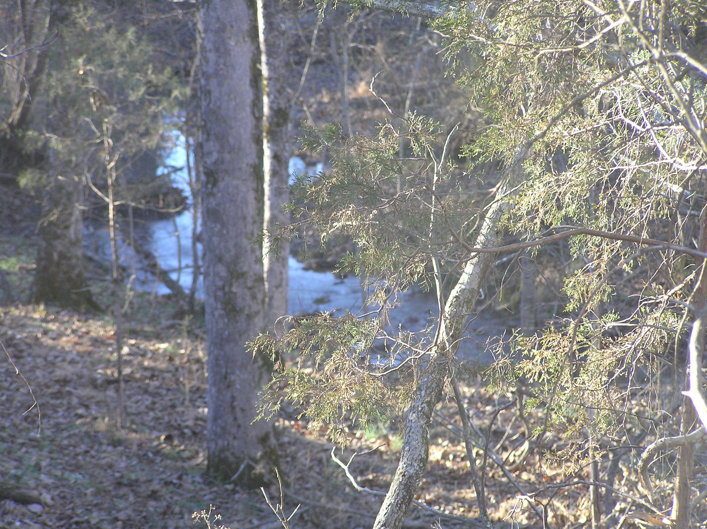 4114 Lower East Valley Road Dunlap, TN 37327 - Photo 59 of 98 miller 039