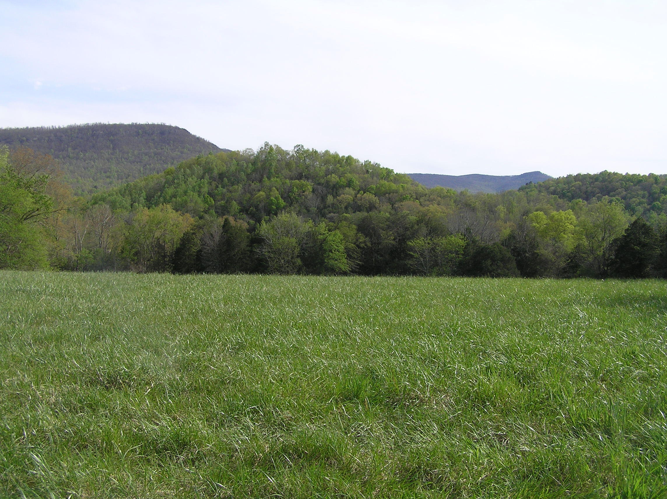 4114 Lower East Valley Road Dunlap, TN 37327 - Photo 6 of 122 040626 006