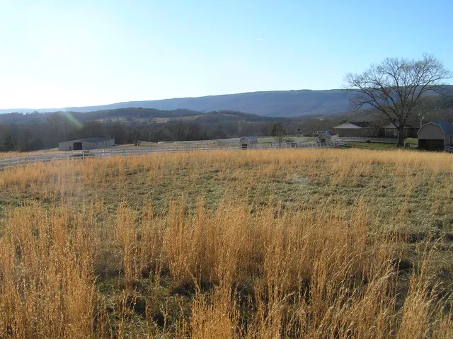 $1,200,000 | 4114 Lower East Valley Road, Dunlap, TN 37327