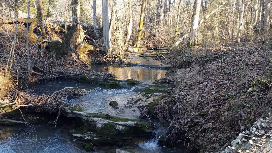 4114 Lower East Valley Road Dunlap, TN 37327 - Photo 62 of 98 thumbnail (14)