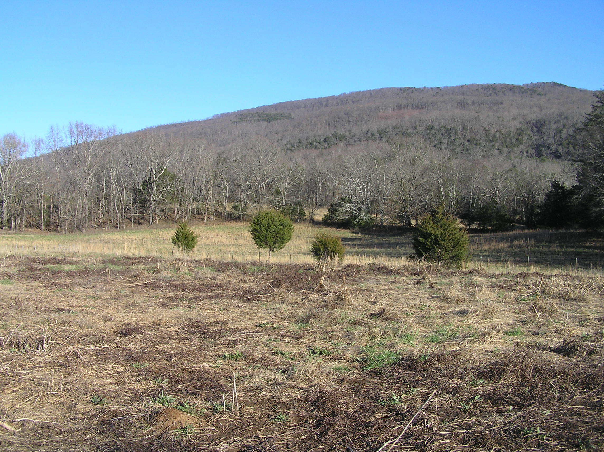 4114 Lower East Valley Road Dunlap, TN 37327 - Photo 68 of 122 miller 012