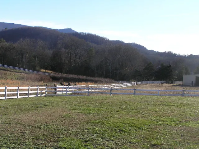 $1,200,000 | 4114 Lower East Valley Road, Dunlap, TN 37327