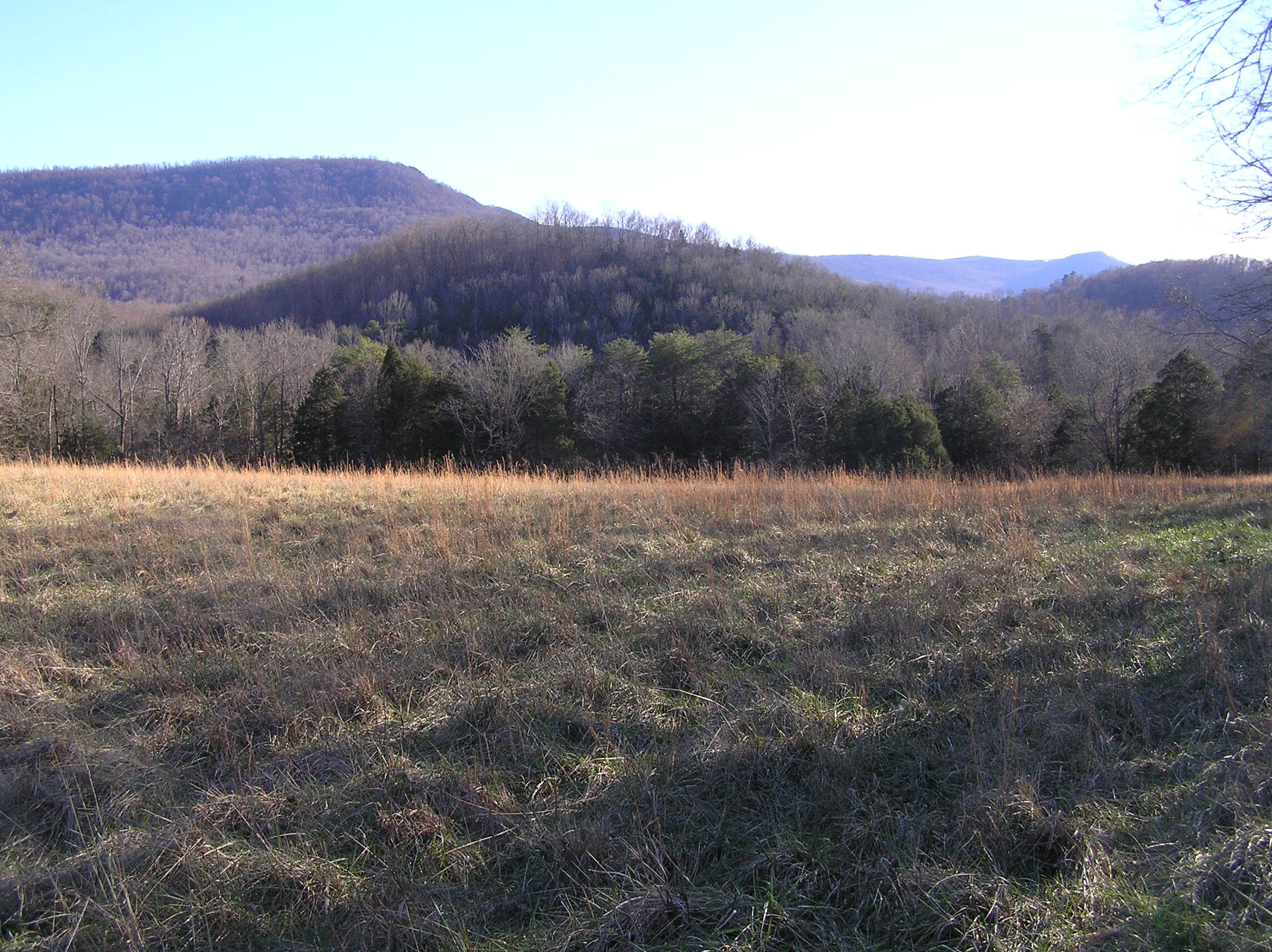 4114 Lower East Valley Road Dunlap, TN 37327 - Photo 69 of 122 miller 013