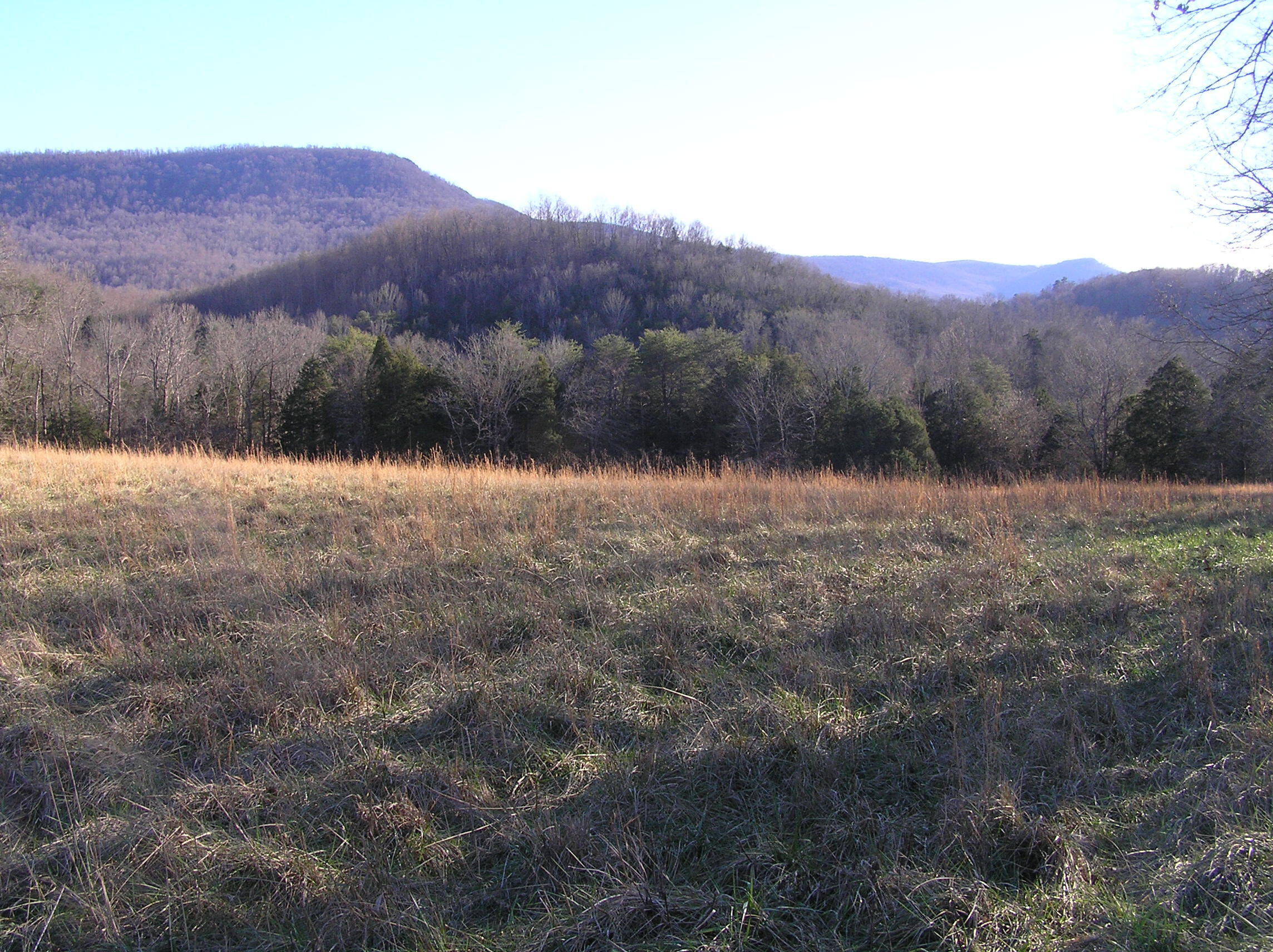 4114 Lower East Valley Road Dunlap, TN 37327 - Photo 70 of 122 miller 014