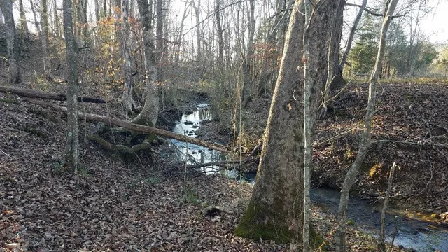 $1,200,000 | 4114 Lower East Valley Road, Dunlap, TN 37327