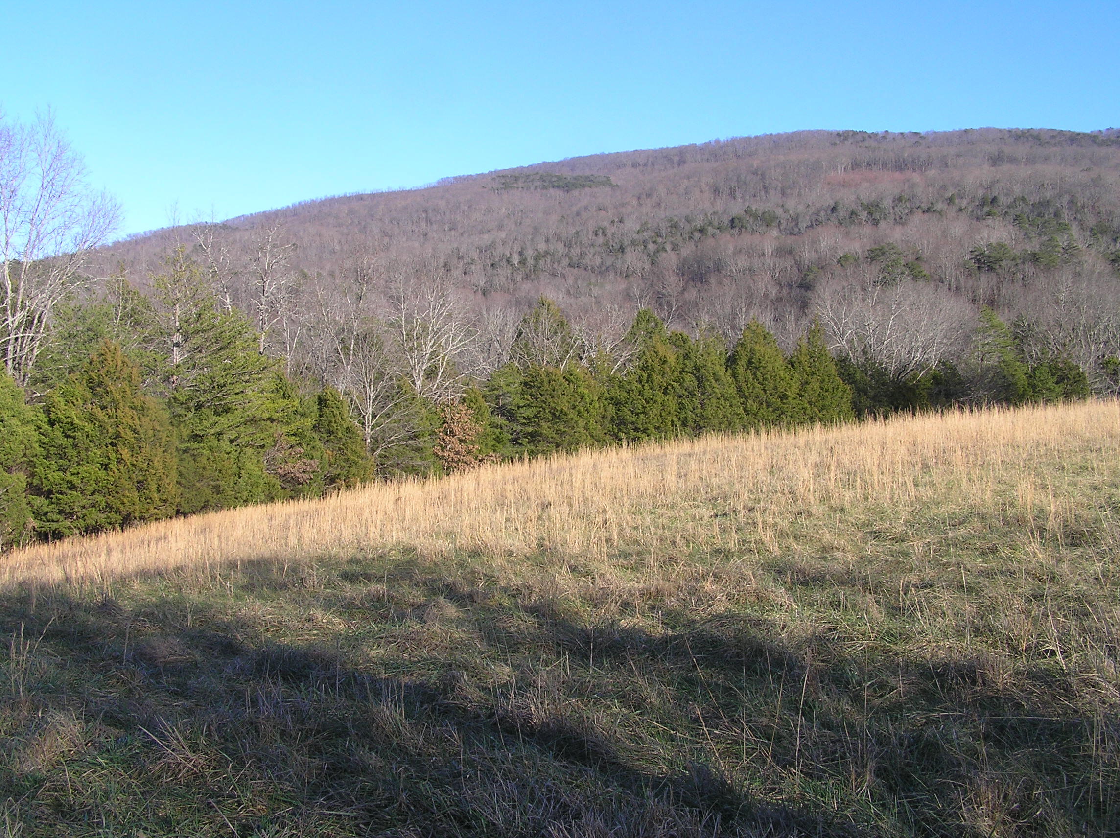 4114 Lower East Valley Road Dunlap, TN 37327 - Photo 71 of 122 miller 015