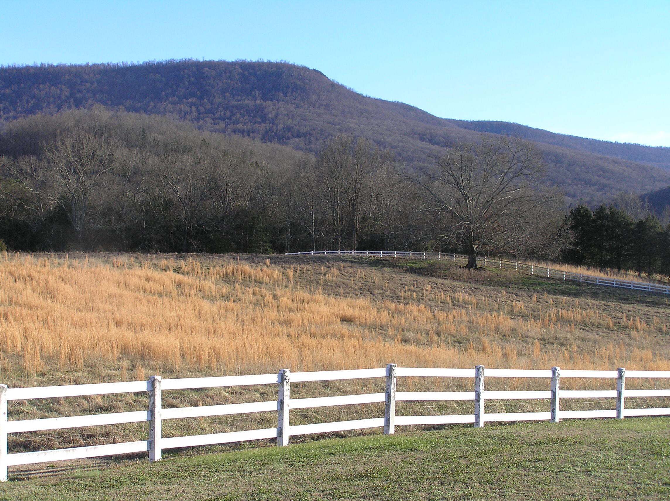 4114 Lower East Valley Road Dunlap, TN 37327 - Photo 72 of 98 miller 041