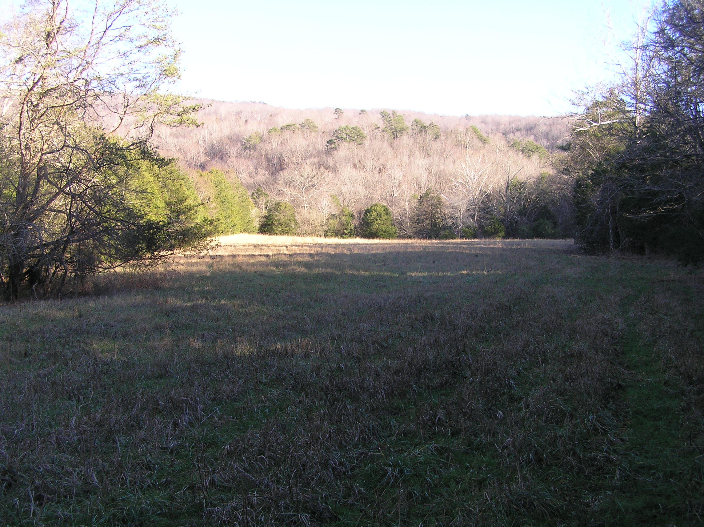 4114 Lower East Valley Road Dunlap, TN 37327 - Photo 72 of 122 miller 018