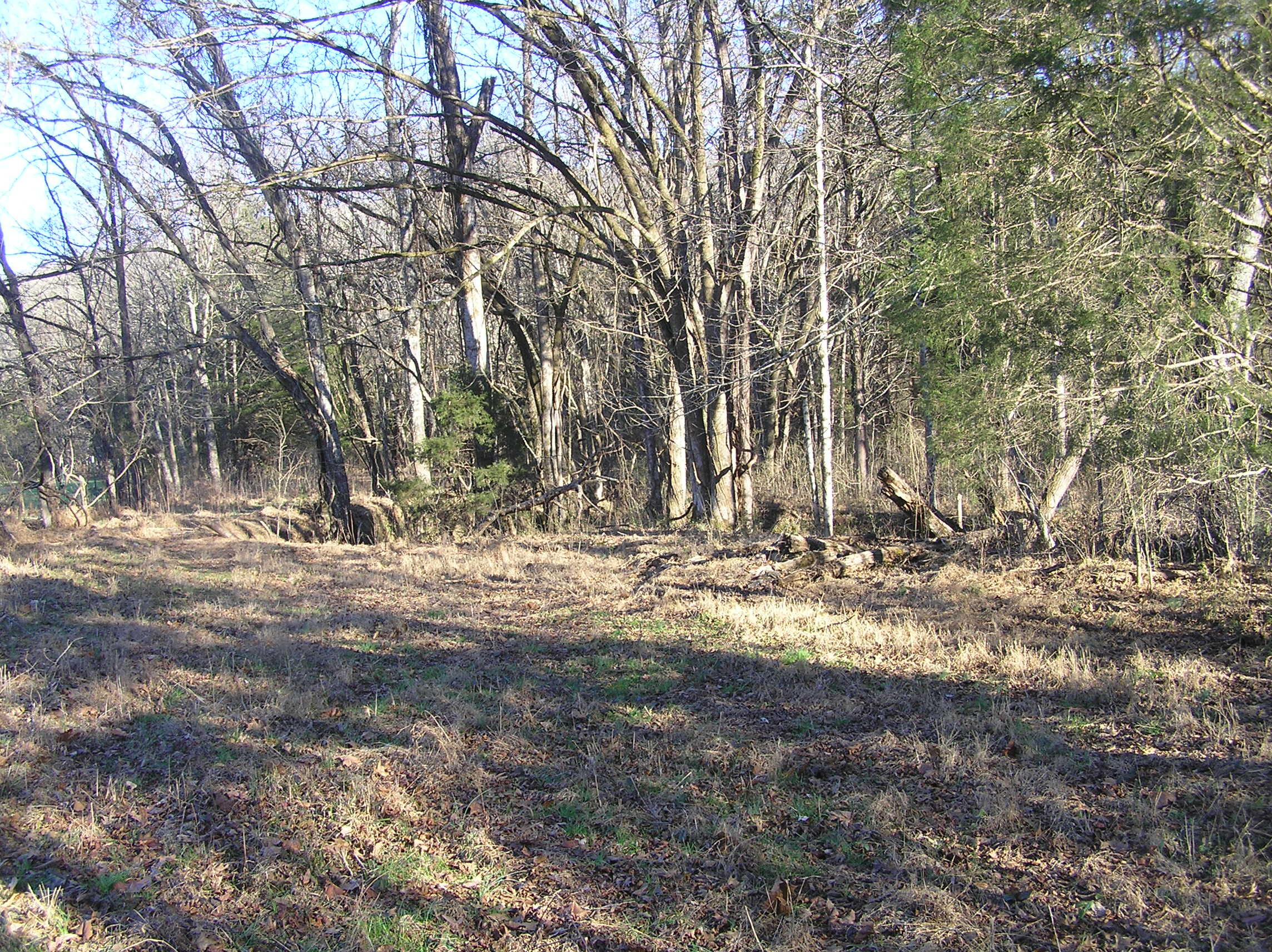 4114 Lower East Valley Road Dunlap, TN 37327 - Photo 73 of 122 miller 019