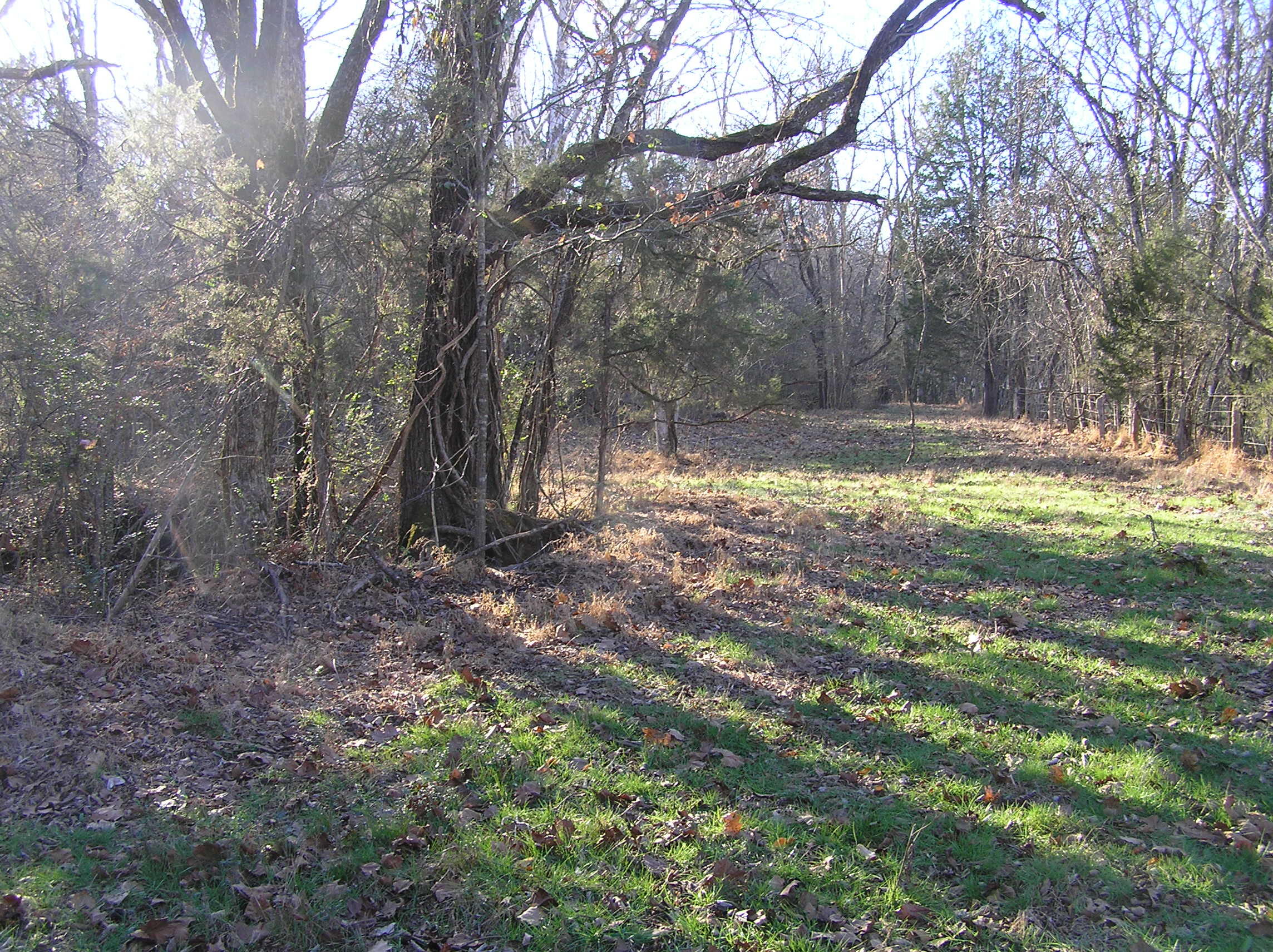 4114 Lower East Valley Road Dunlap, TN 37327 - Photo 74 of 122 miller 020