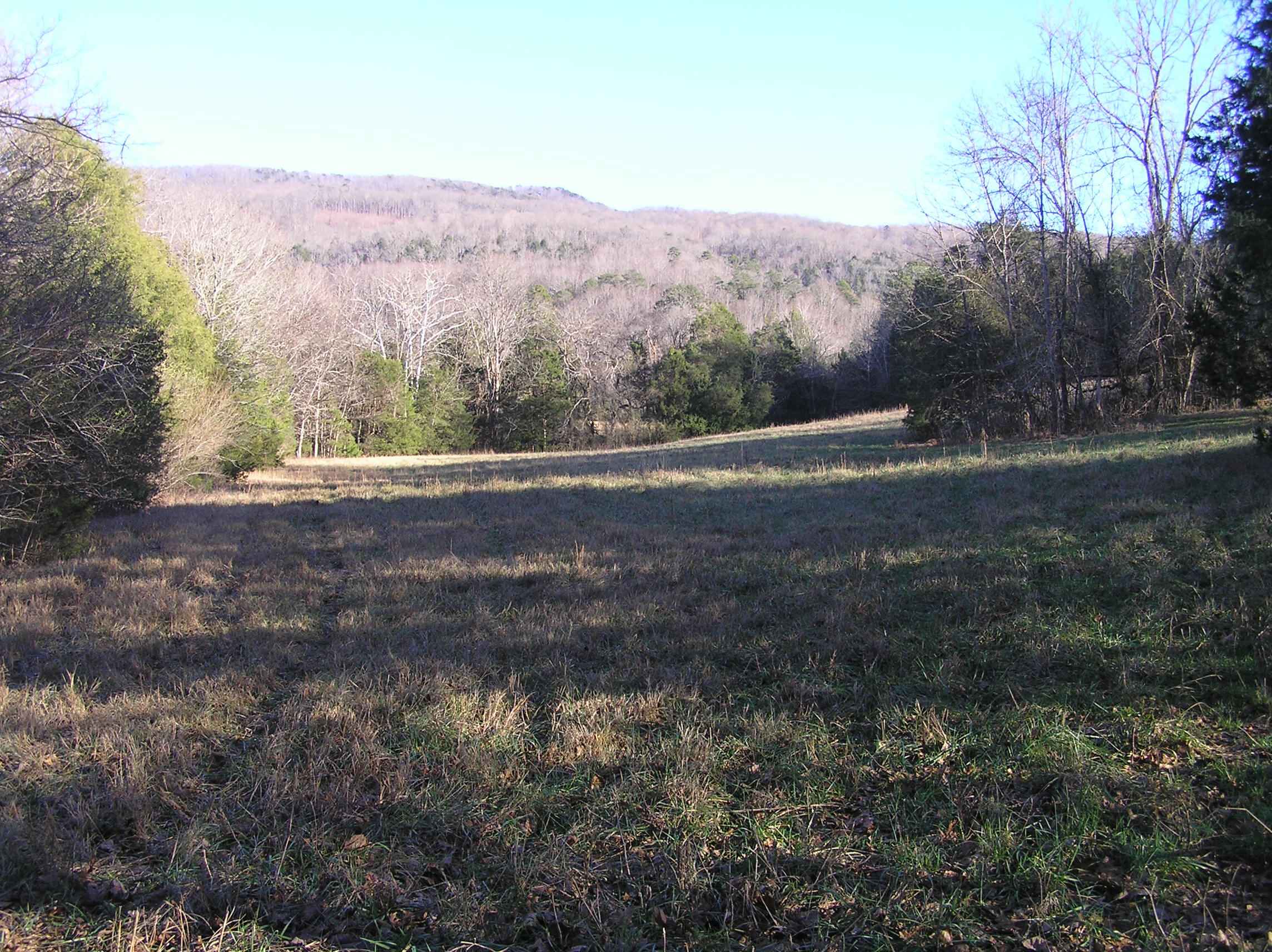 4114 Lower East Valley Road Dunlap, TN 37327 - Photo 84 of 122 miller 025