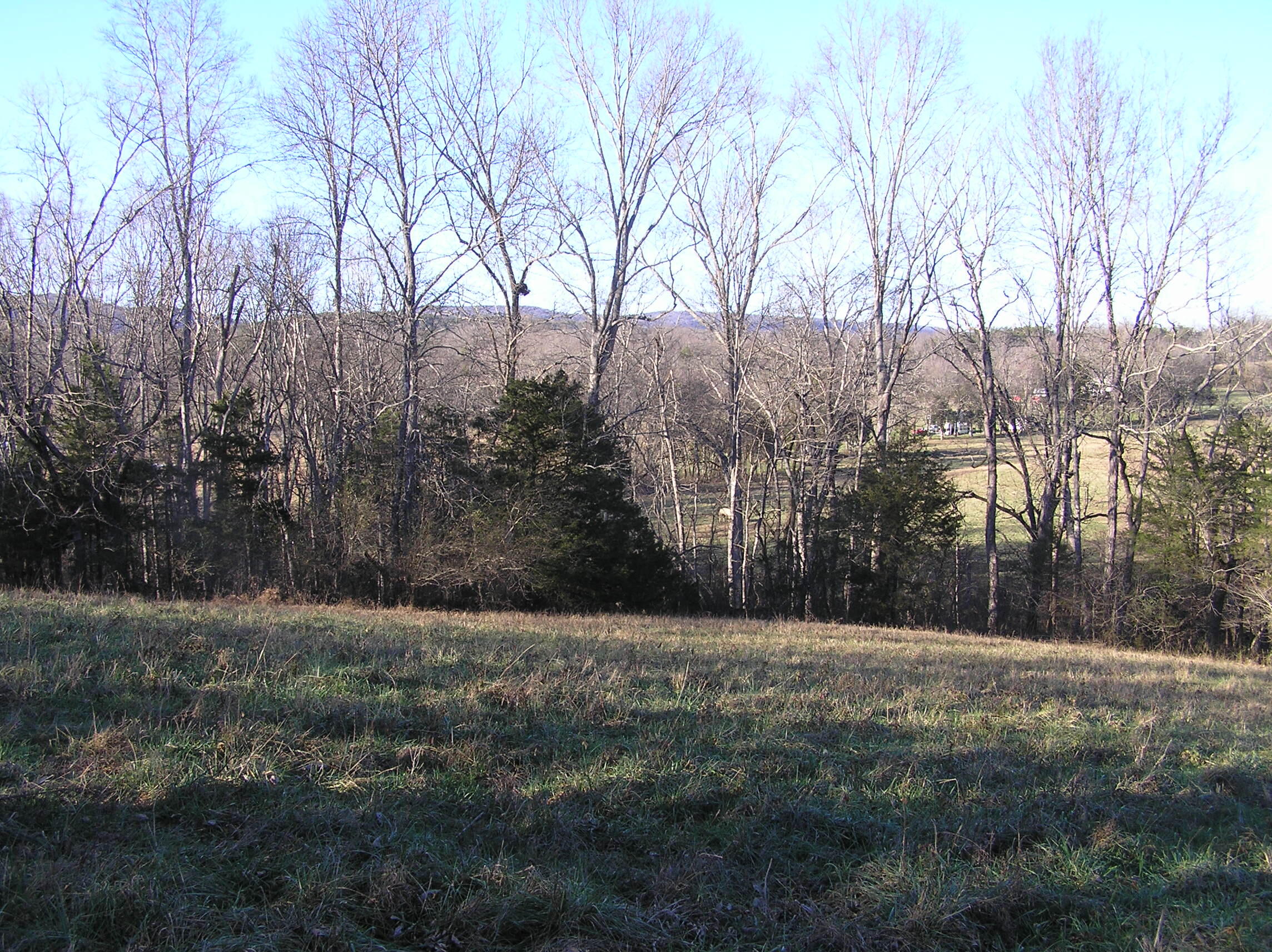 4114 Lower East Valley Road Dunlap, TN 37327 - Photo 85 of 122 miller 026