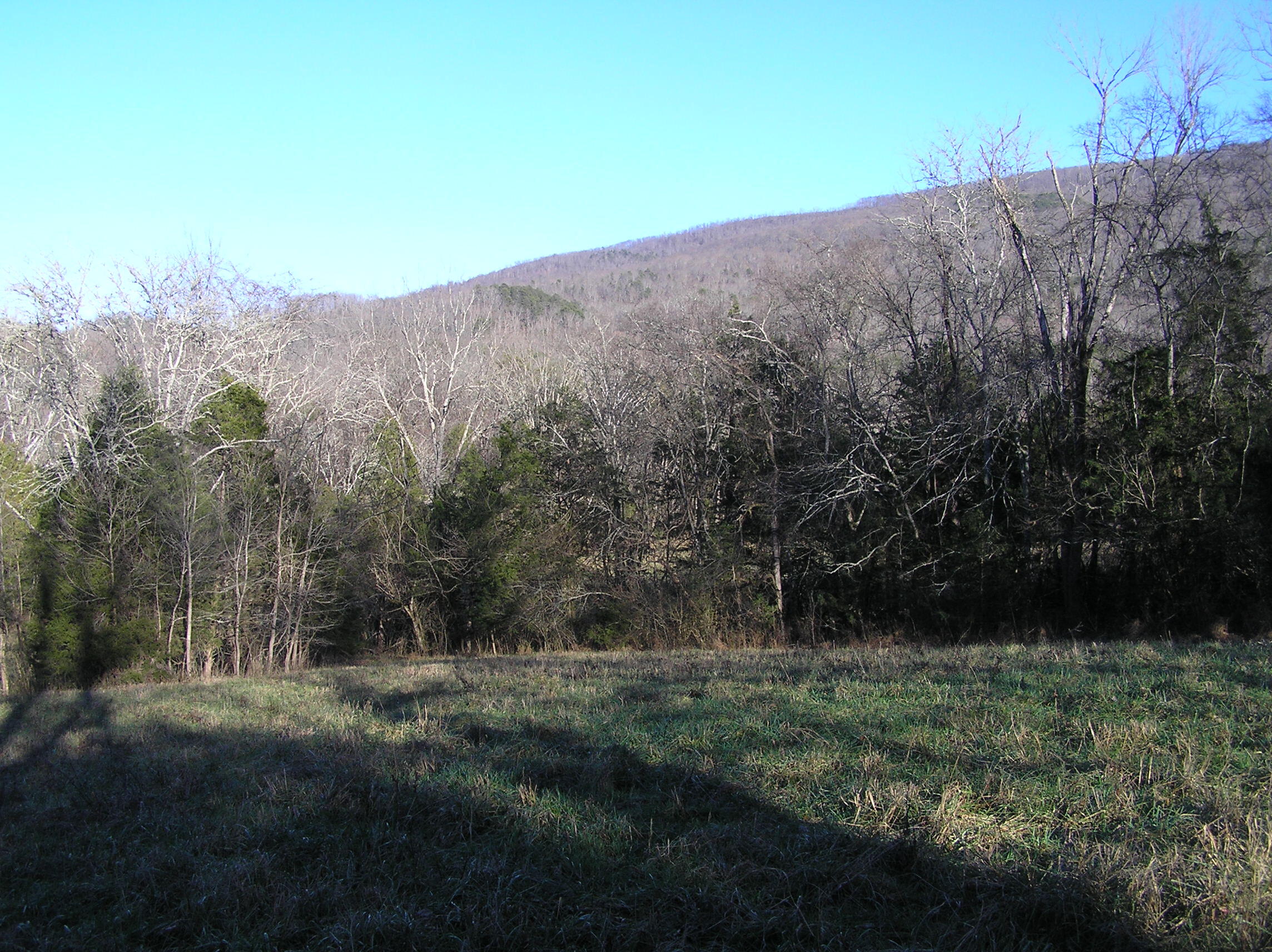 4114 Lower East Valley Road Dunlap, TN 37327 - Photo 86 of 122 miller 027