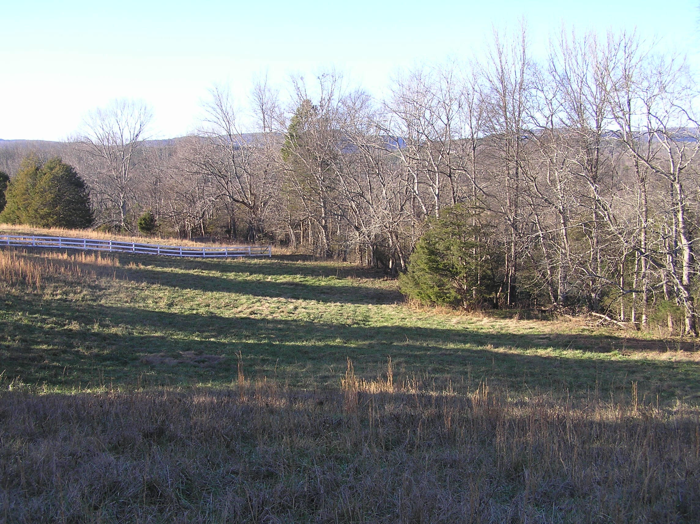 4114 Lower East Valley Road Dunlap, TN 37327 - Photo 87 of 122 miller 028
